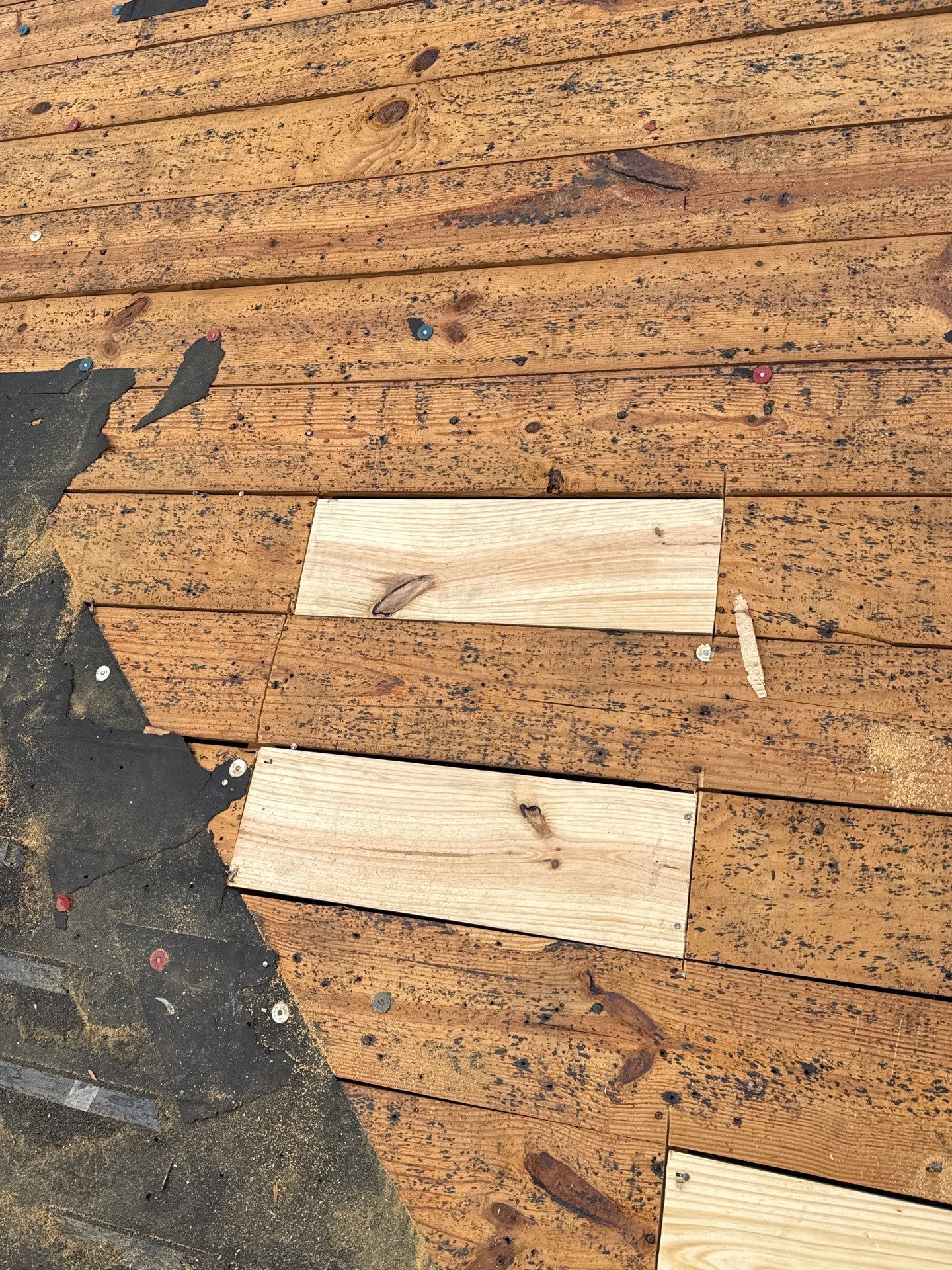 Roof Replacement (Barkwood) and Tree Removal in Birmingham  by The Roofing Dudes