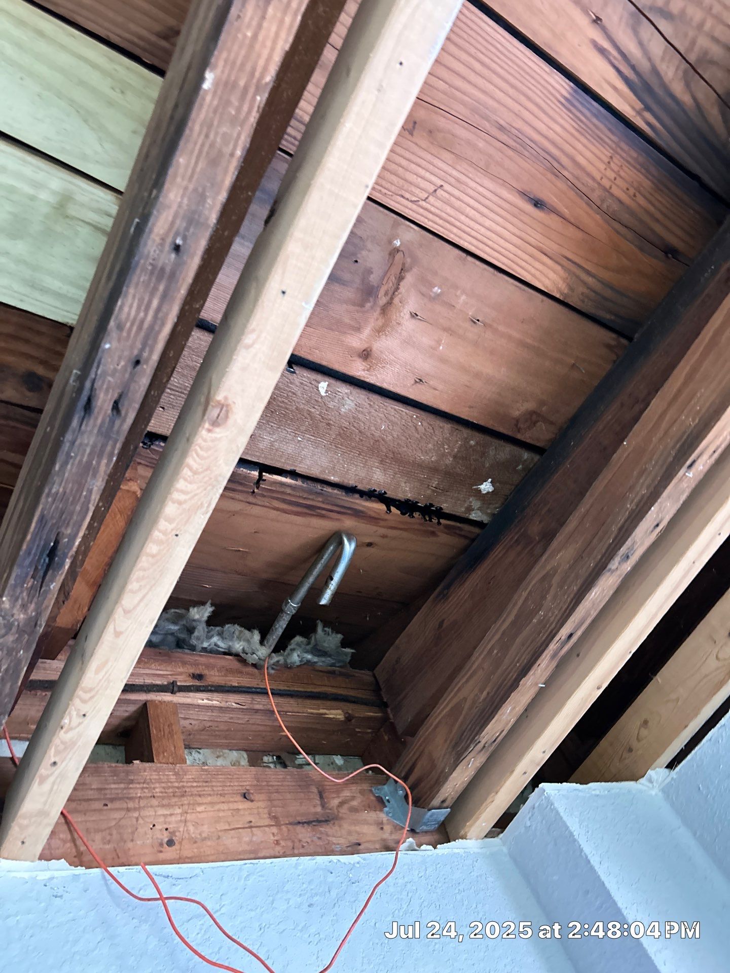 Mold Inspection & Mold Removal In St. Petersburg, FL by Ampm Restoration Services