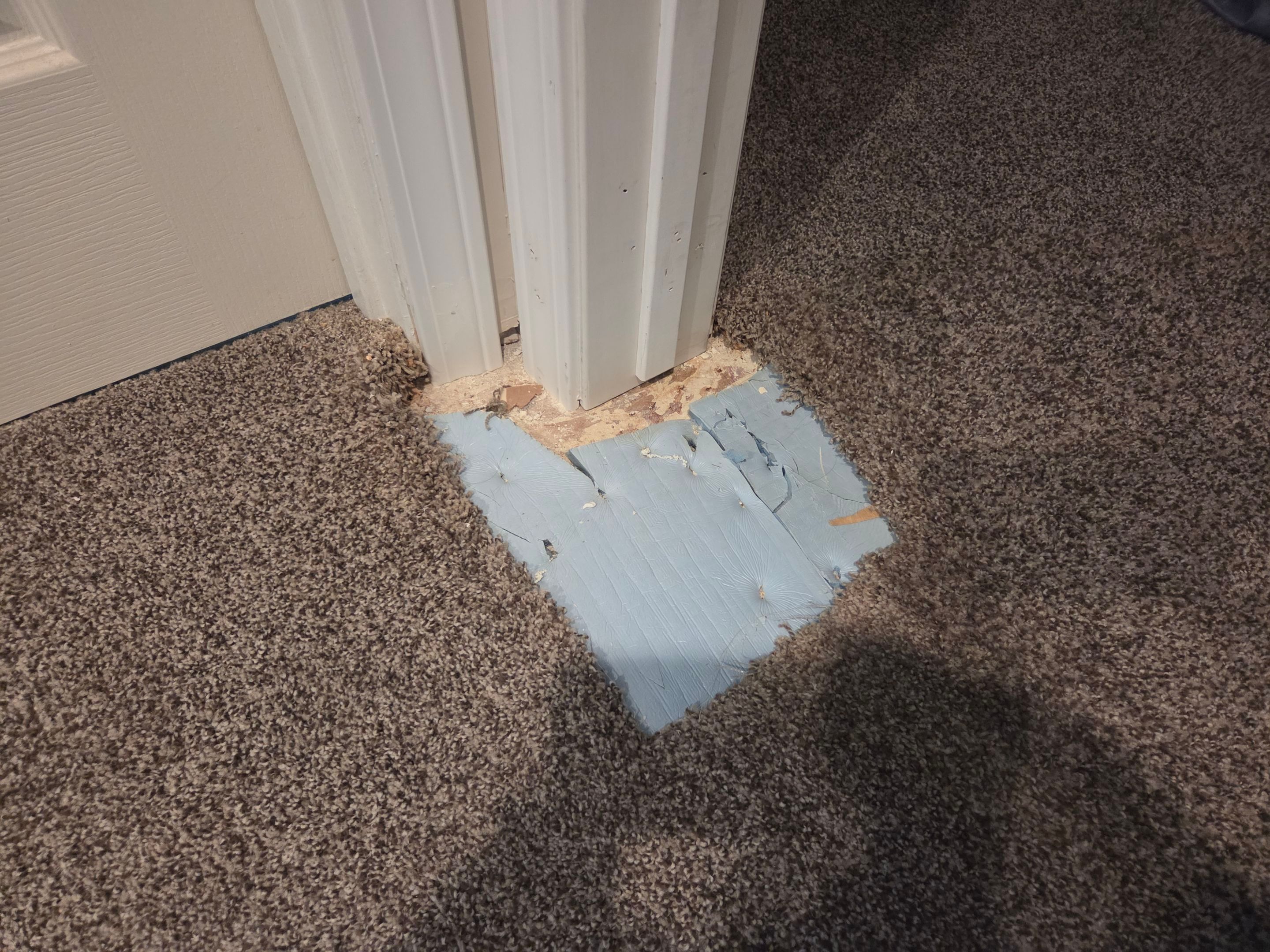 Bonded Insert, Carpet Repair in Folsom by Ardent Carpet Restore LLC