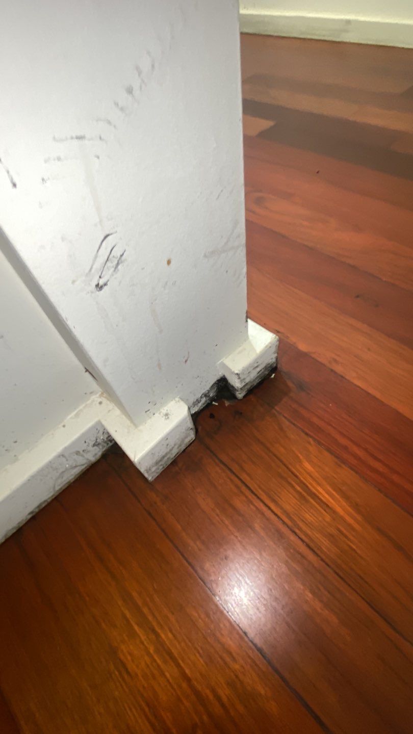Sewage Backup in Highrise by Chicagoland Water Medics