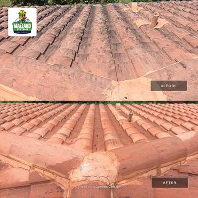 Tile Roof Cleaning and Exterior Soft Wash in Oviedo