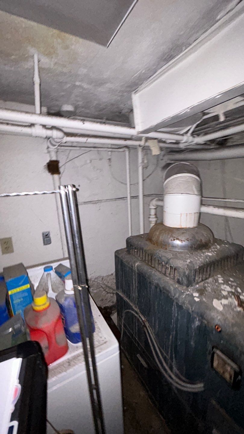 Mold Remediation by Accountable Home Services