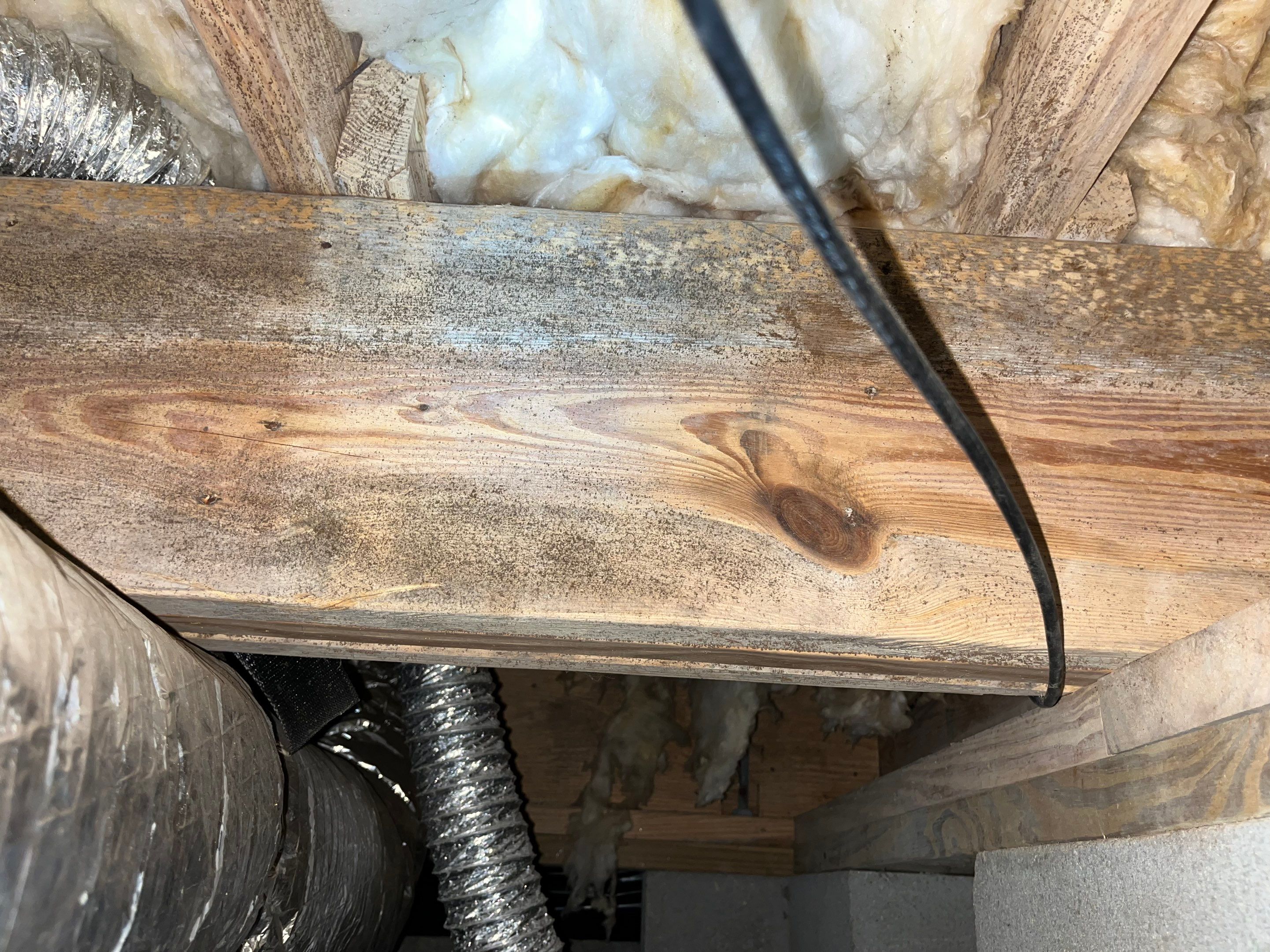 Impact Choice Encapsulation with French Drain, Mold Removal, and Crawlspace Door by Impact Crawlspace