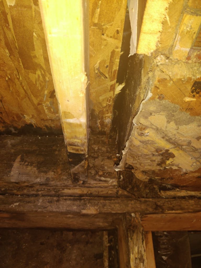 Mold Remediation in Bathroom by Accountable Home Services