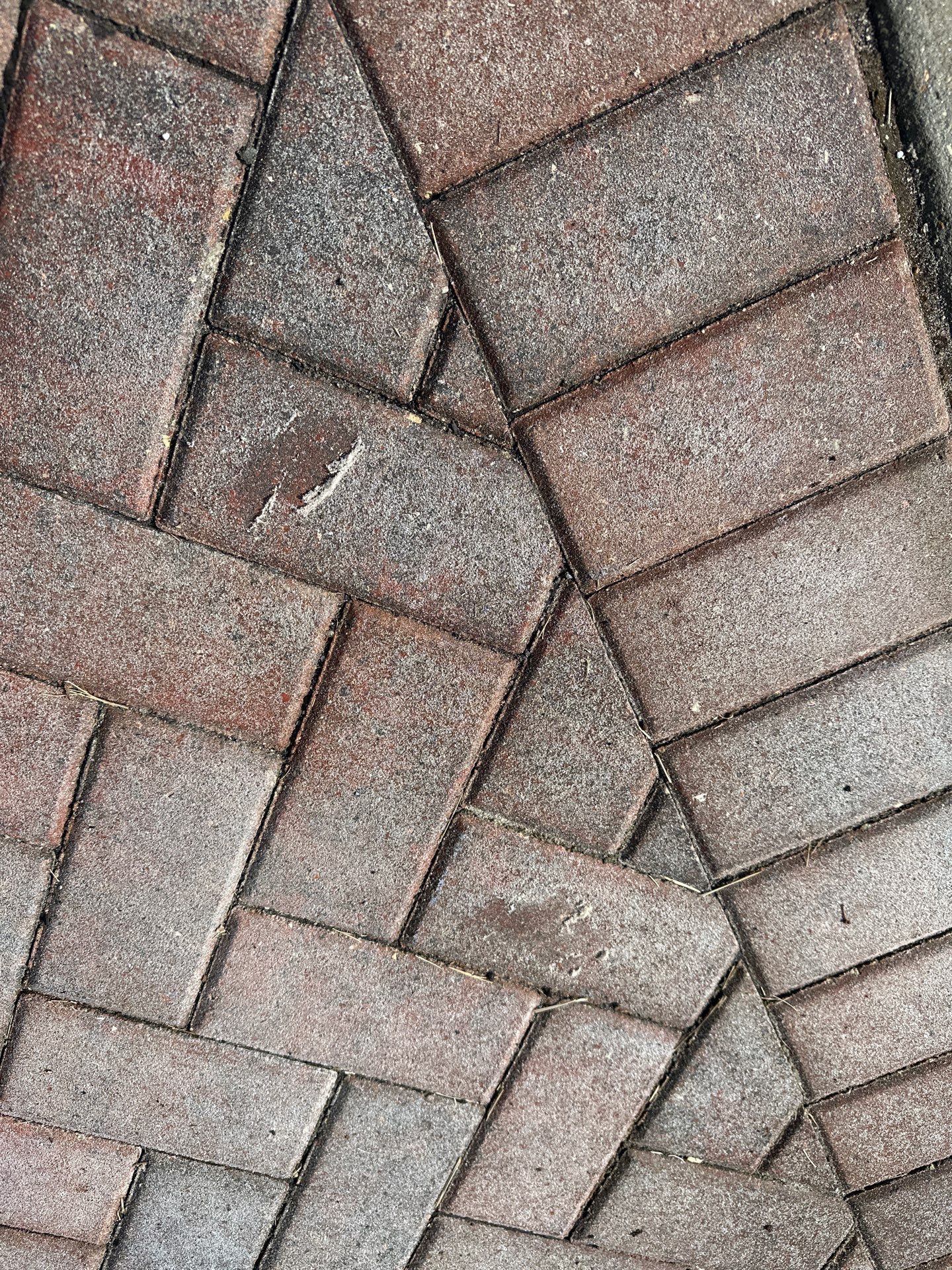 Full Paver Restoration in Valencia Lakes Wimauma by Supreme Paver Experts
