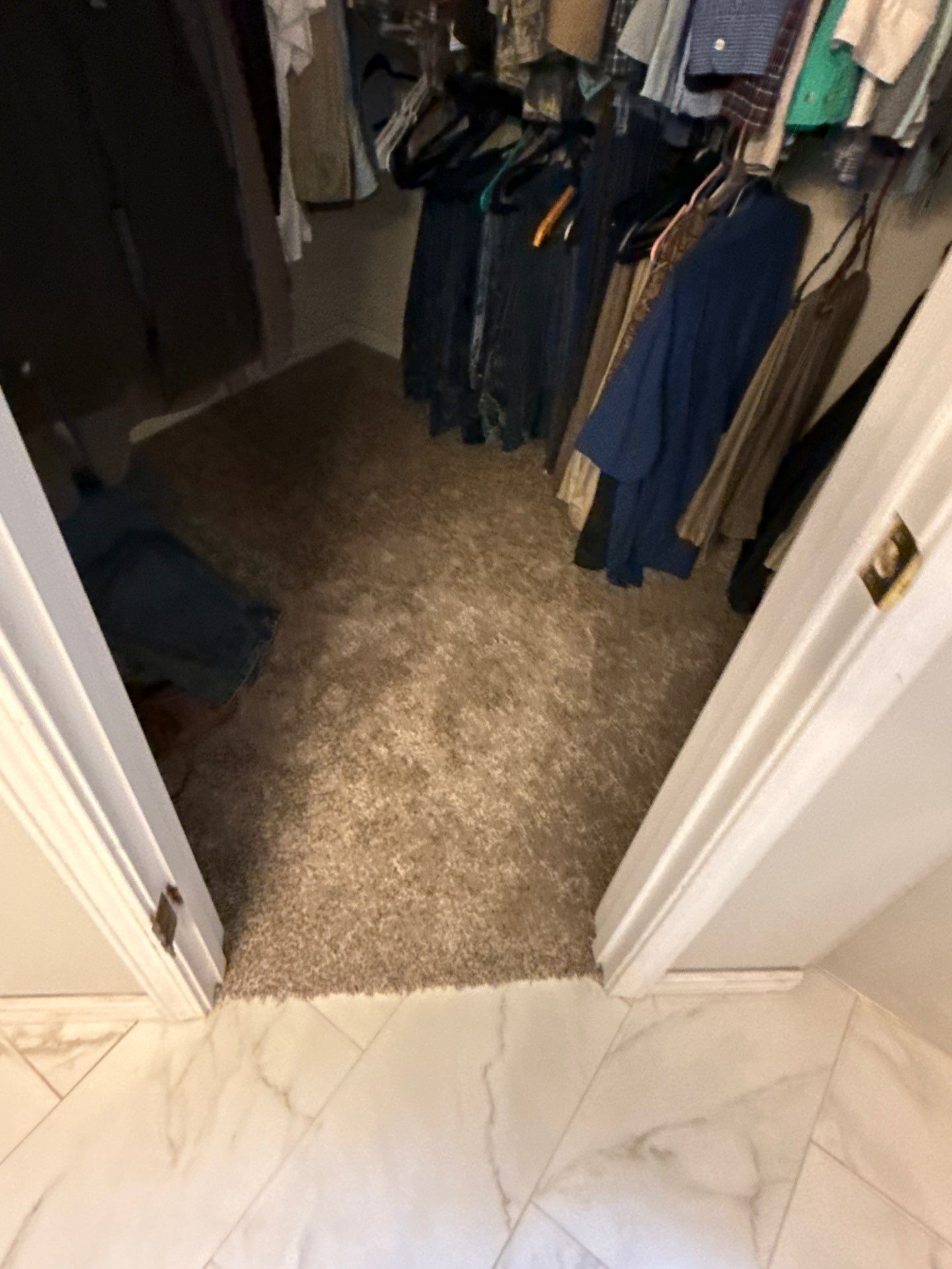 Project in Brighton by Knockout Flooring LLC