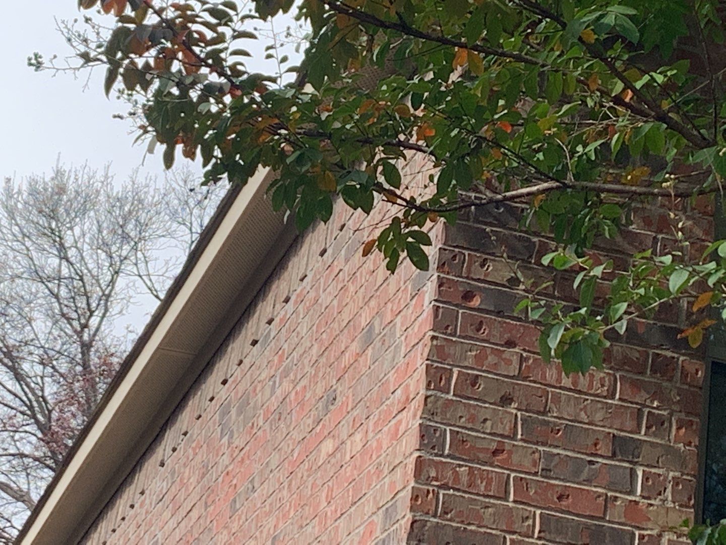 Project in Dallas by 6D Roofing & Consulting, LLC