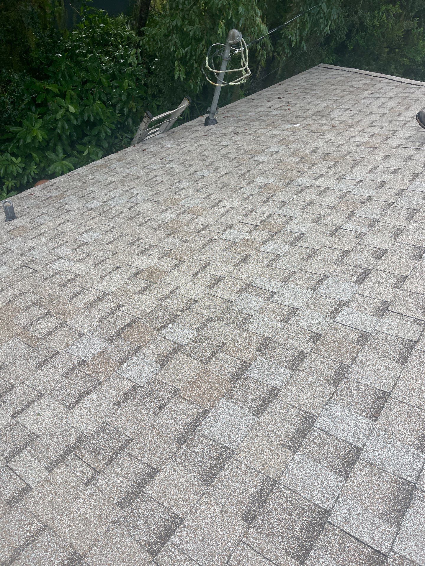 Shingle Reroof Replacement Deltona FL by Pinnacle Roofing Group