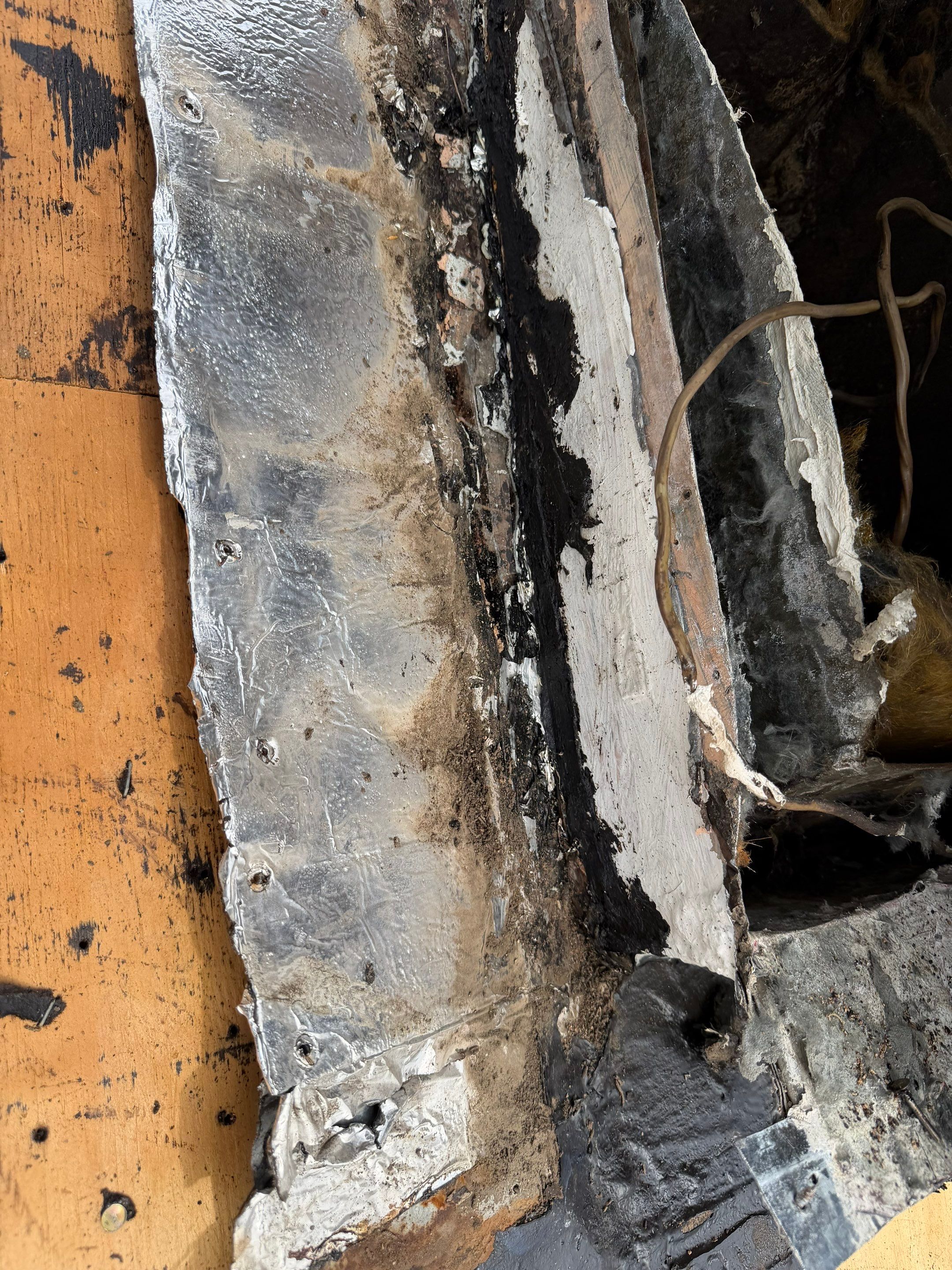 Project in  Rancho Cordova by NuLead Construction Inc