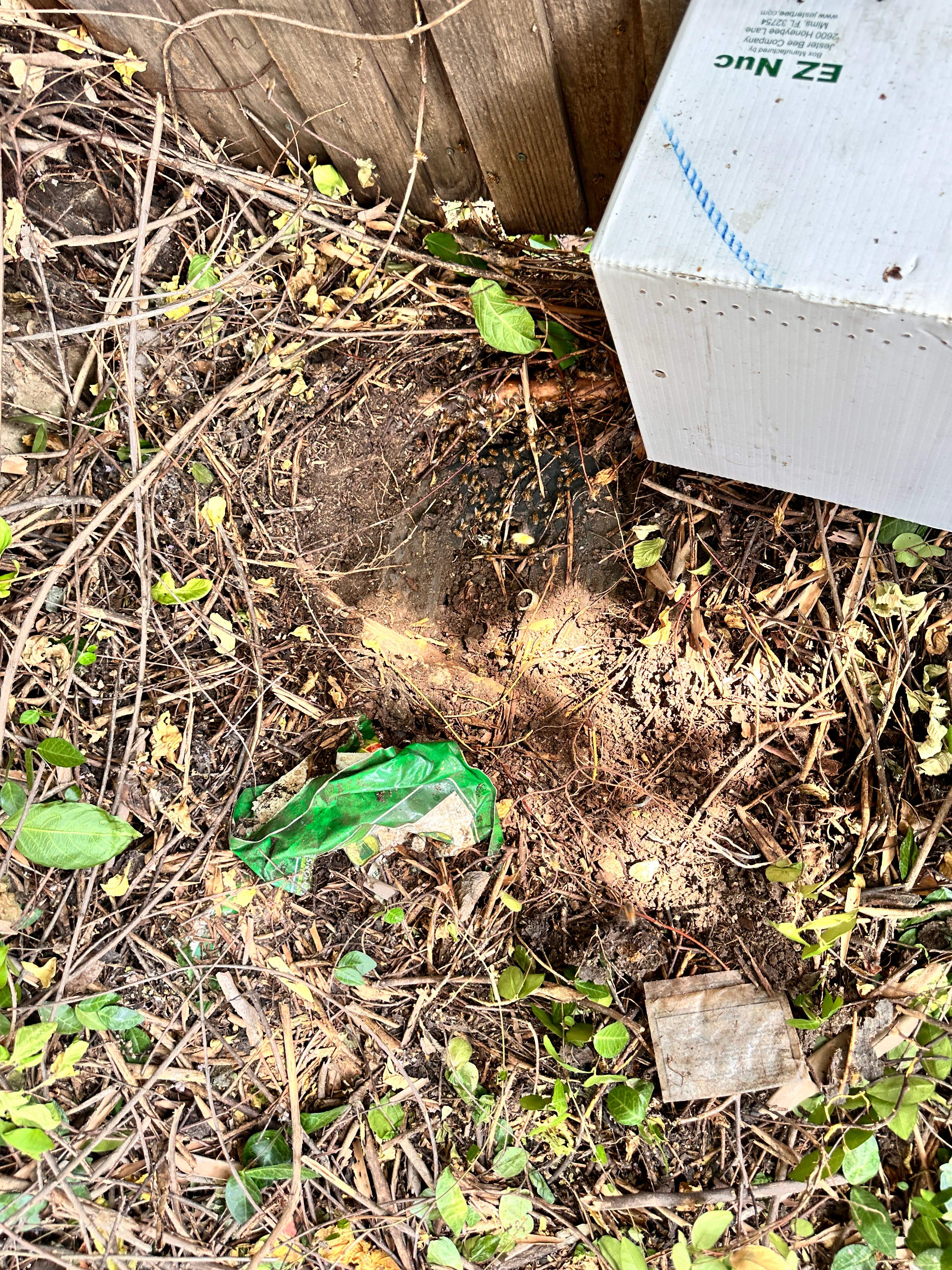 Pot-in-a-Pot by Rockwall Honey Bee Company