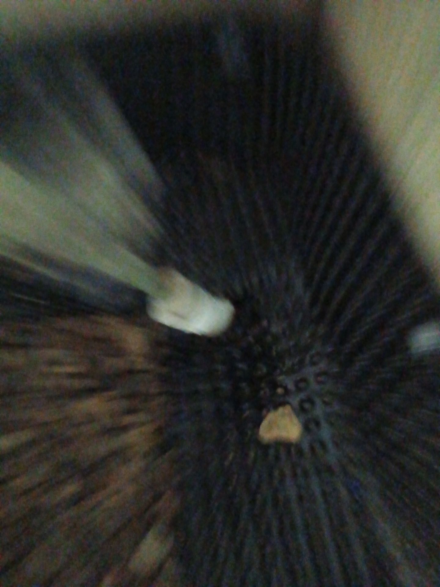 Basement Waterproofing Gone Wild by Waterproofing Northeast