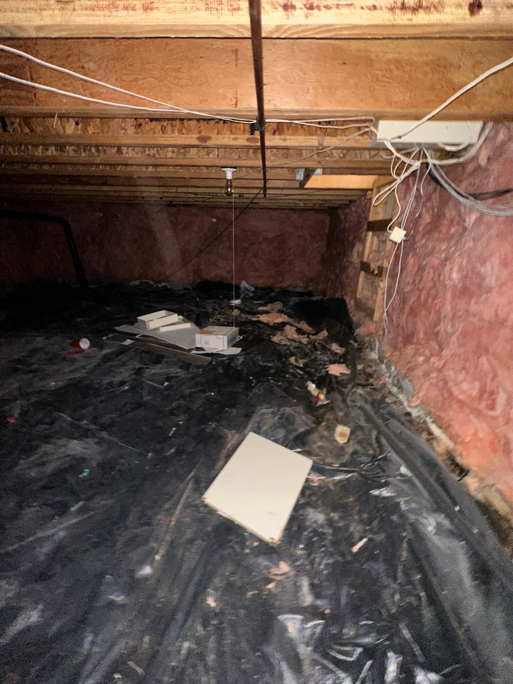 Mold Removal in Brighton, CO by Alpha Restoration 