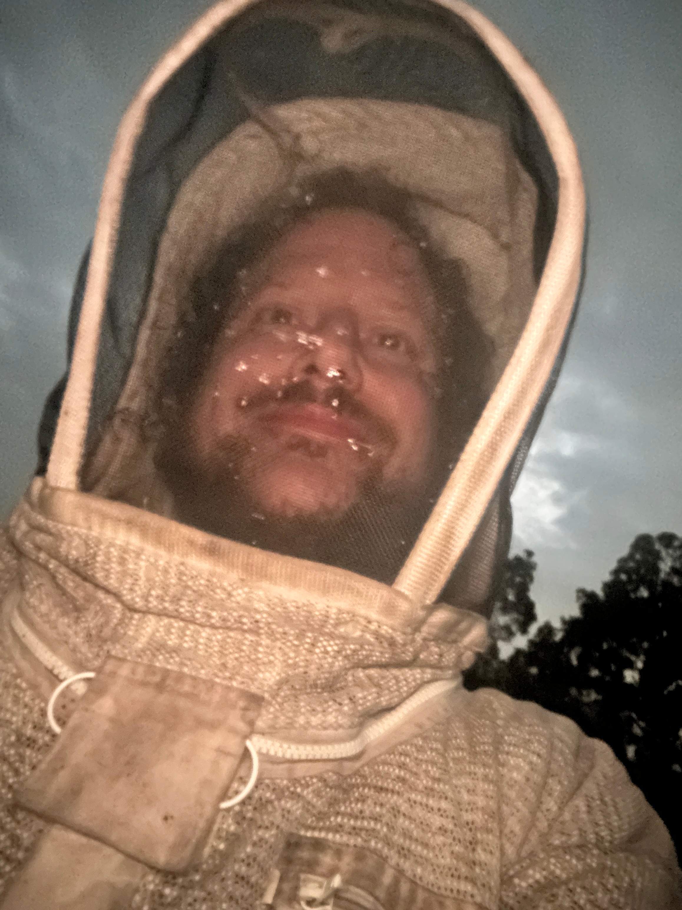 Bumblebees! by Rockwall Honey Bee Company