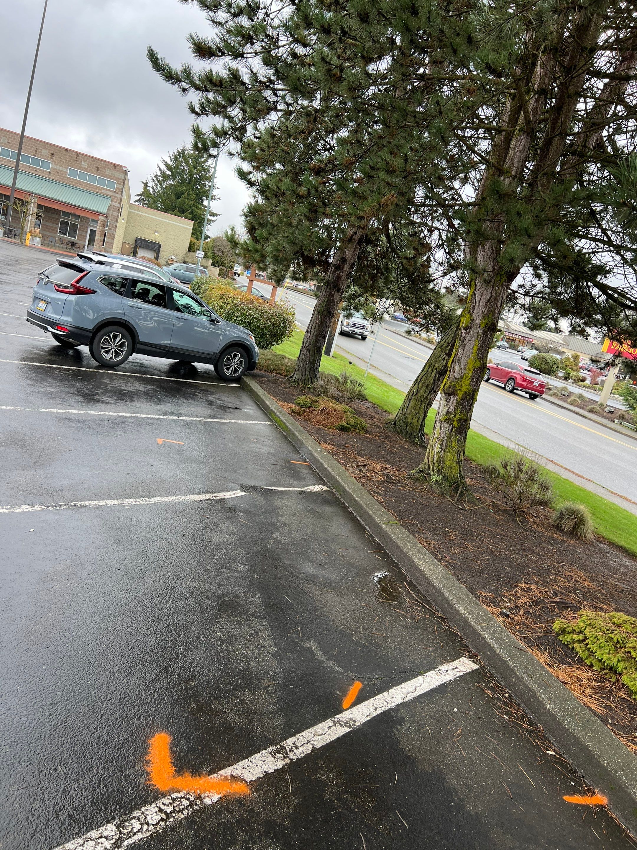 Amanda | Concrete Curb by Jireh Asphalt & Concrete Inc 