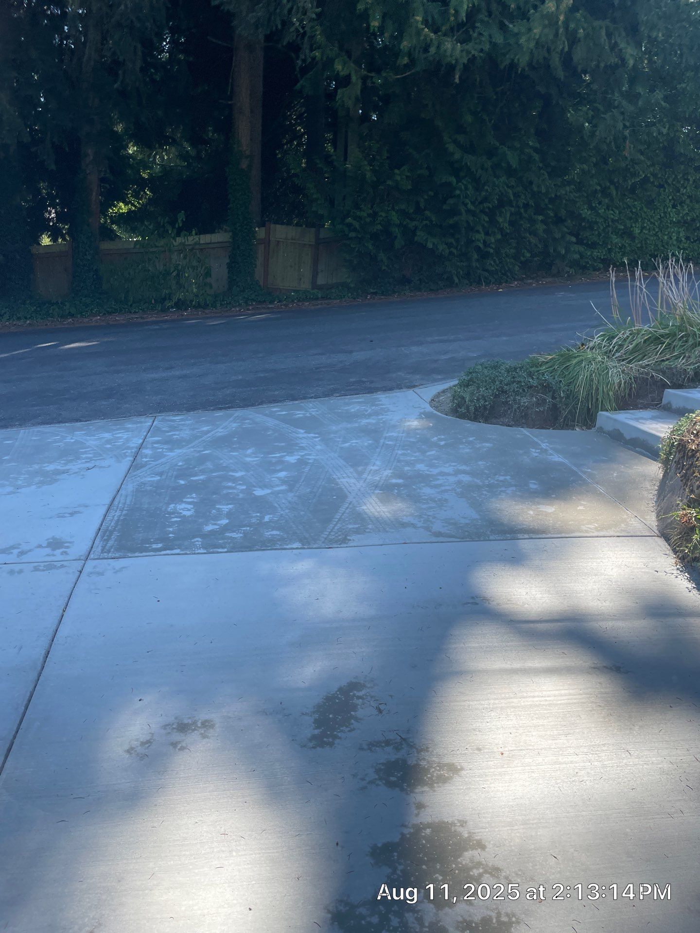 Front Driveway & Stairs Concrete Renovation | Kenmore  by Jireh Asphalt & Concrete Inc 