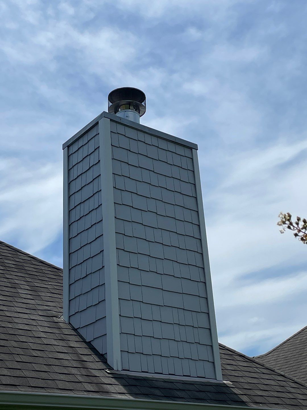 Downing Park - Paint by Pillar and Pine