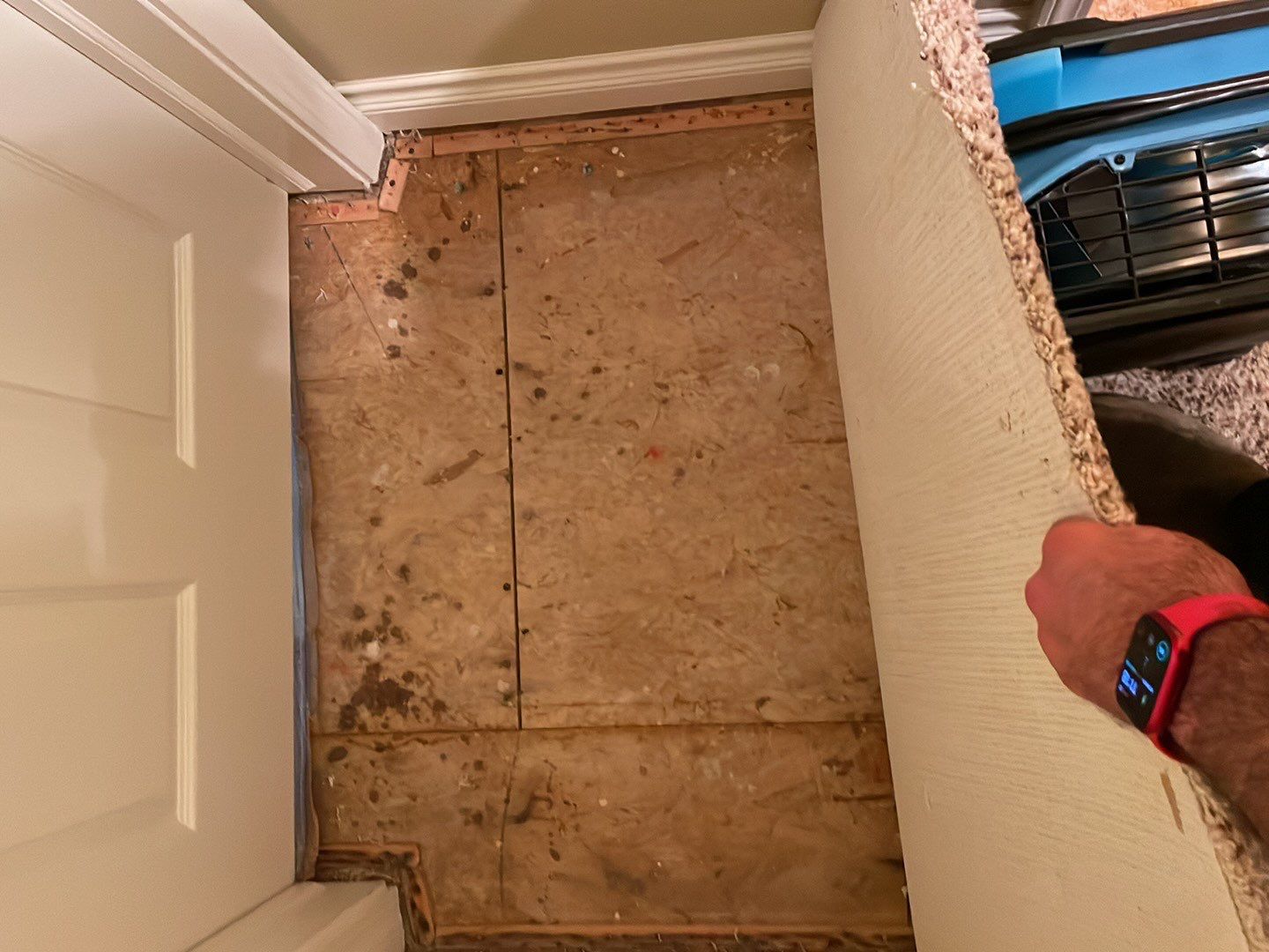 Project in Novi by EzDry Water Mitigation & Property Restoration