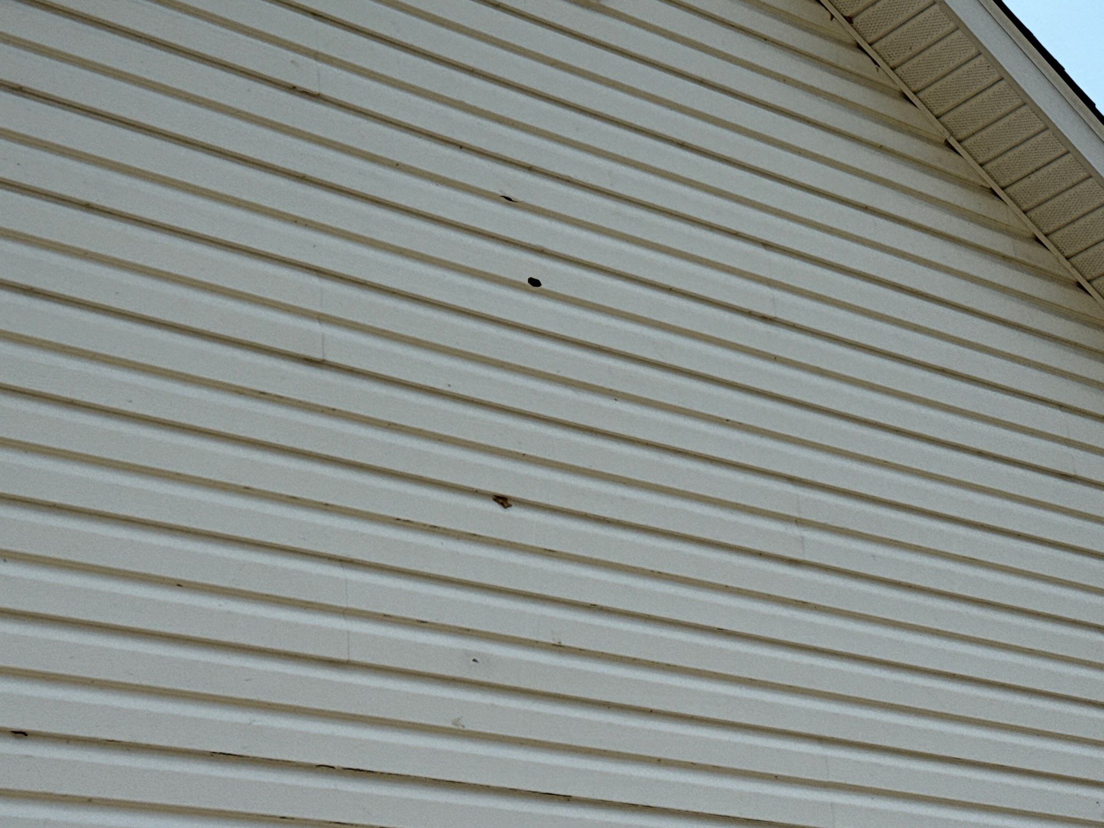 Exterior & Window Installation using CertainTeed Mainstreet & ViWinTech Windows by Koontz Construction