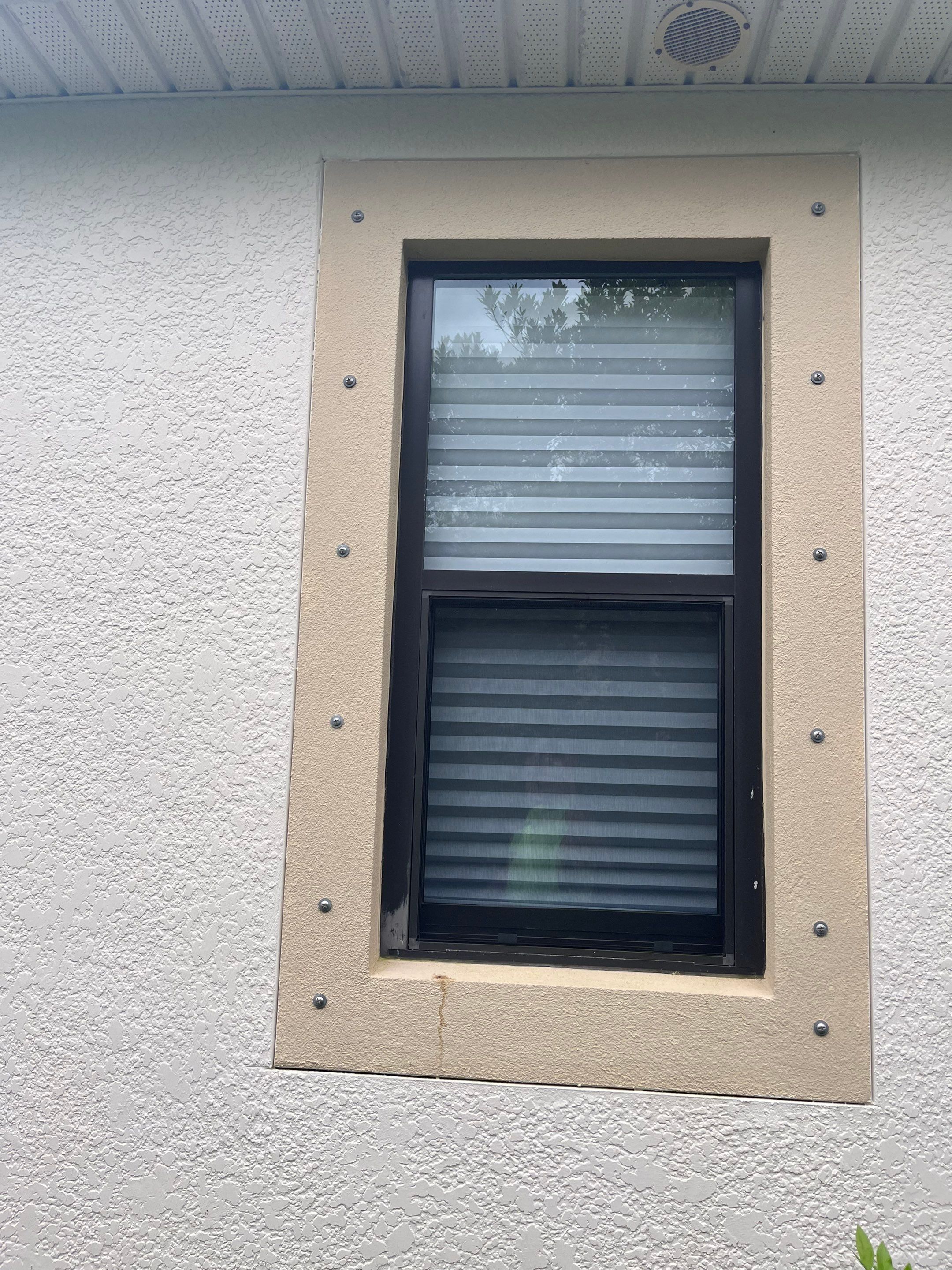 Bronze Single Hungs & PW's by NewSouth Window Jacksonville