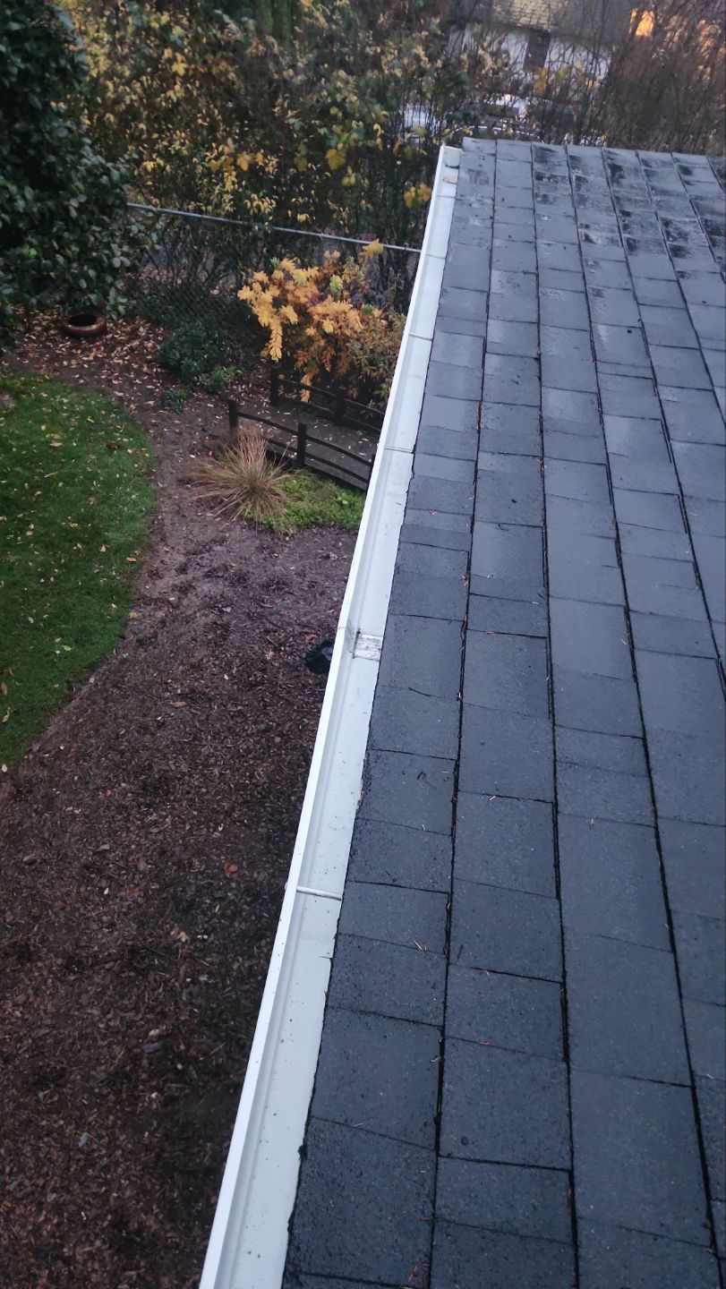 Driveway Repair using Pressure washing no chemicals by Willamette Outdoor Wash LLC