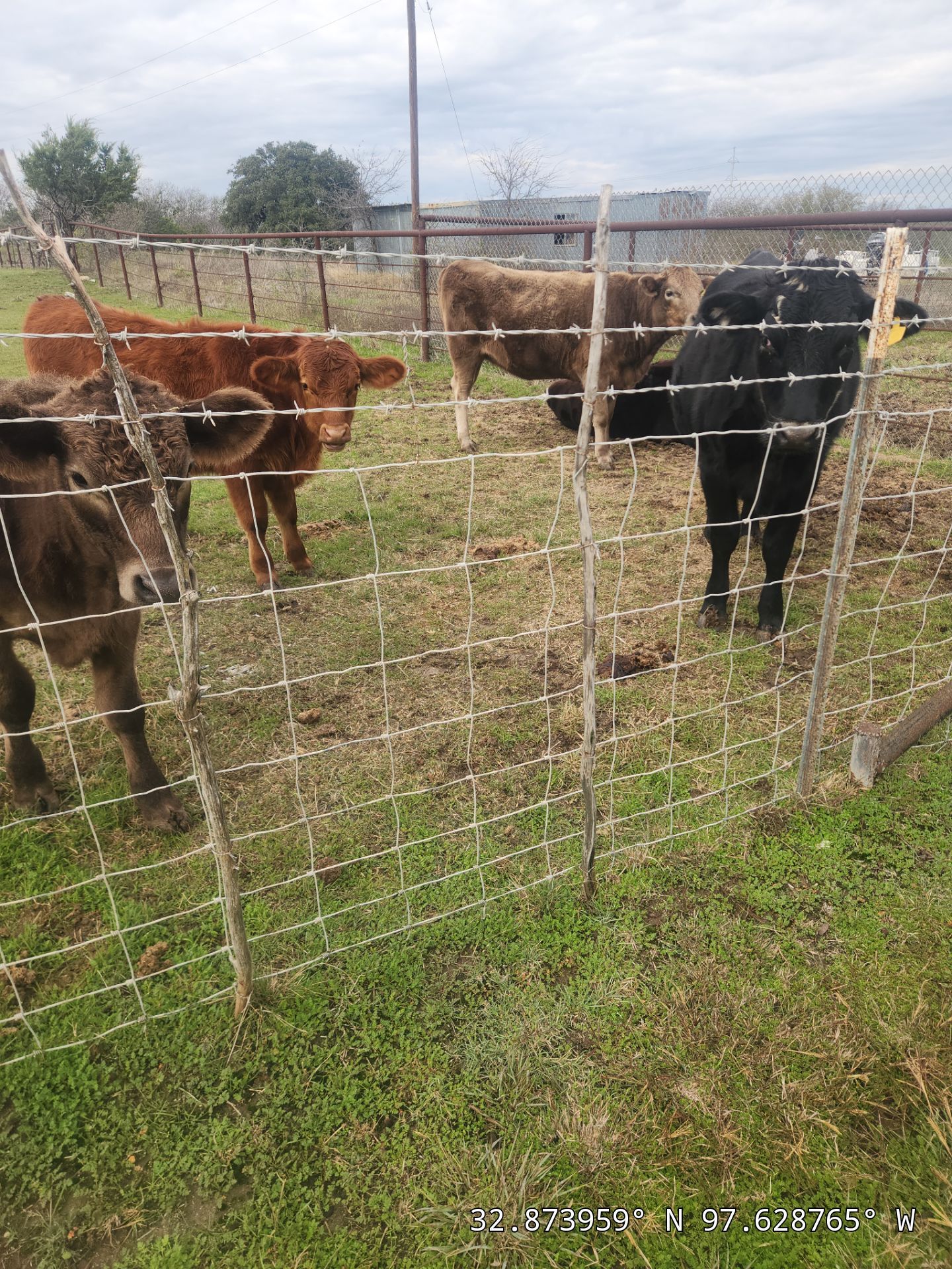 Project in Weatherford by Lonestar Roofing and Restoration LLC.