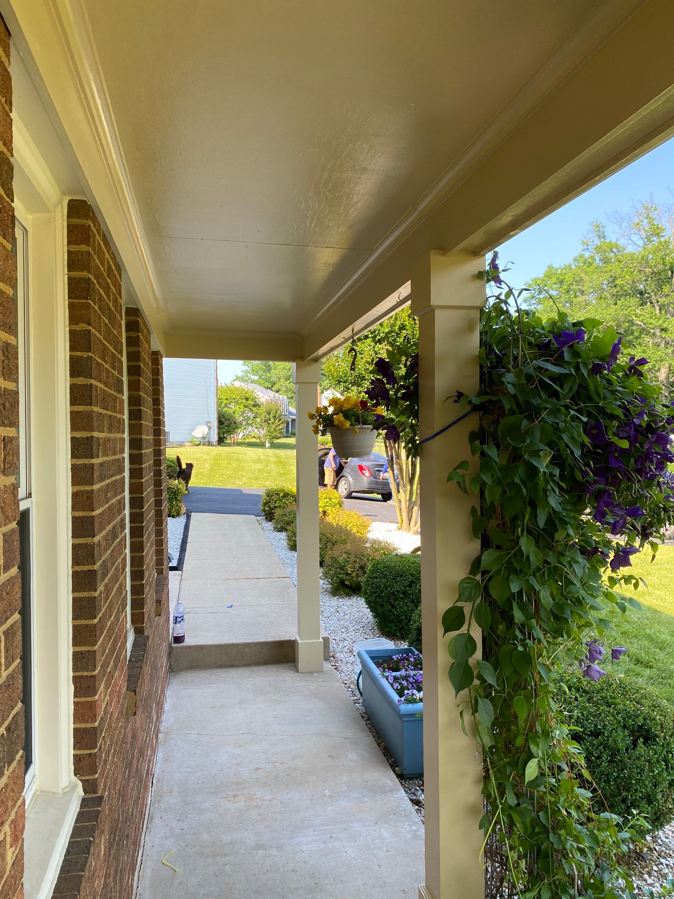 New Bilco doors to basement & new front porch posts by The Smet Companies, LLC