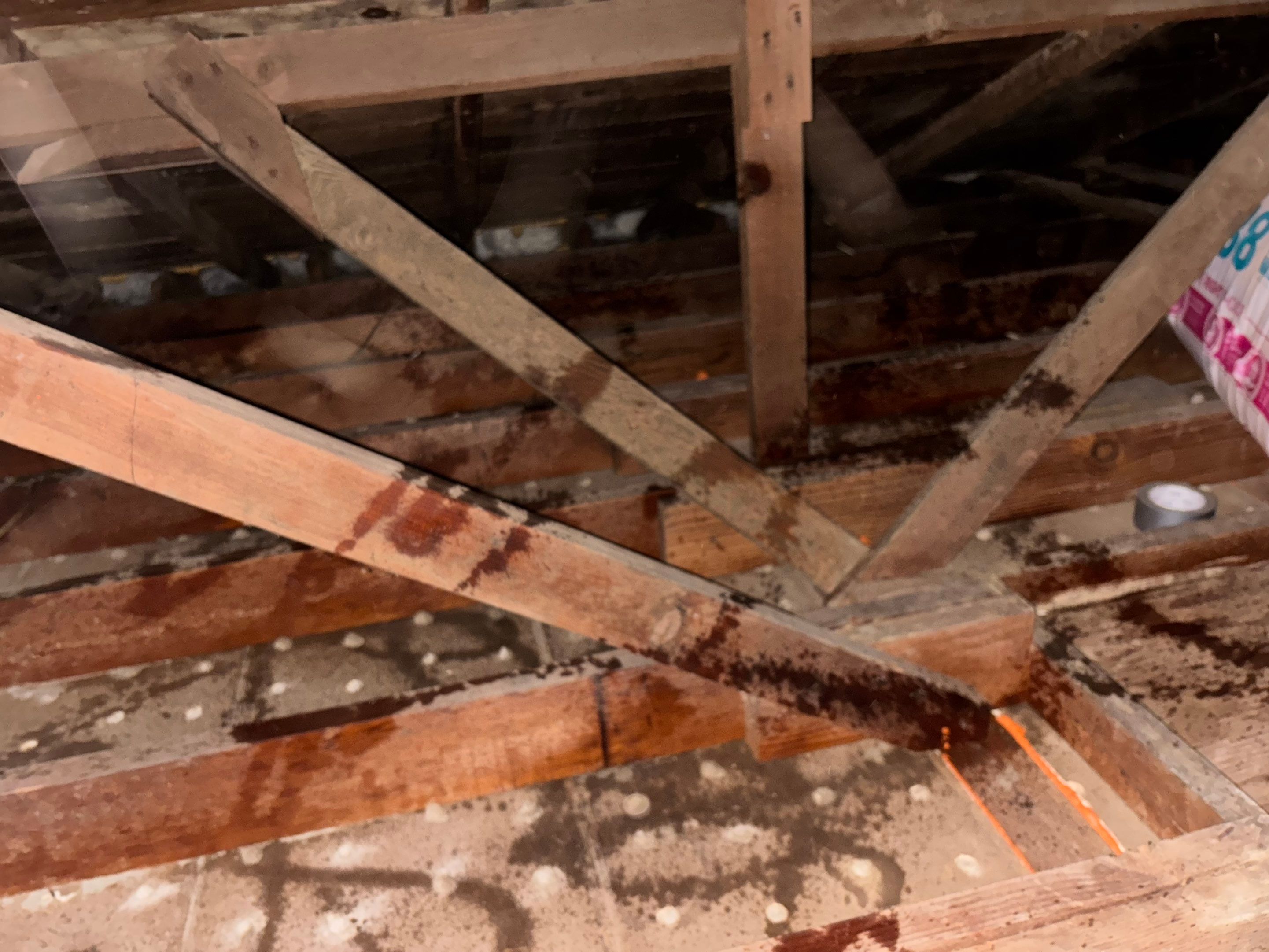 Project in Whittier by Insulation Labs