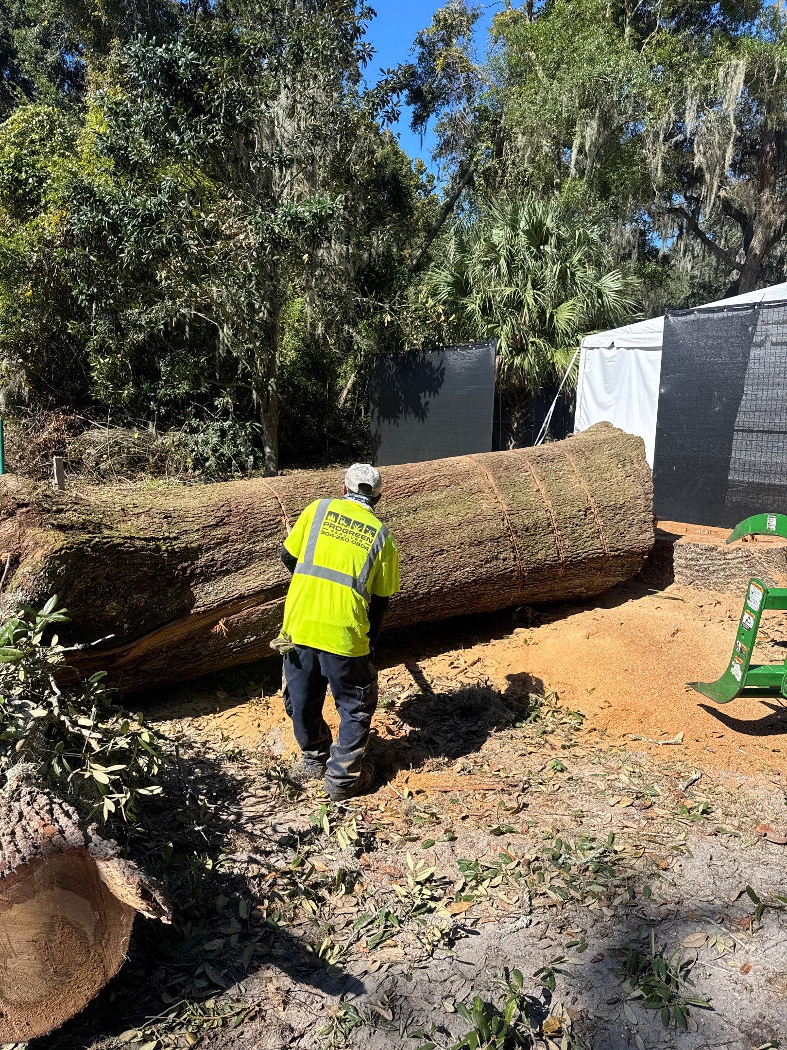 Episcopal | Large Tree Removal by ProGreen Services