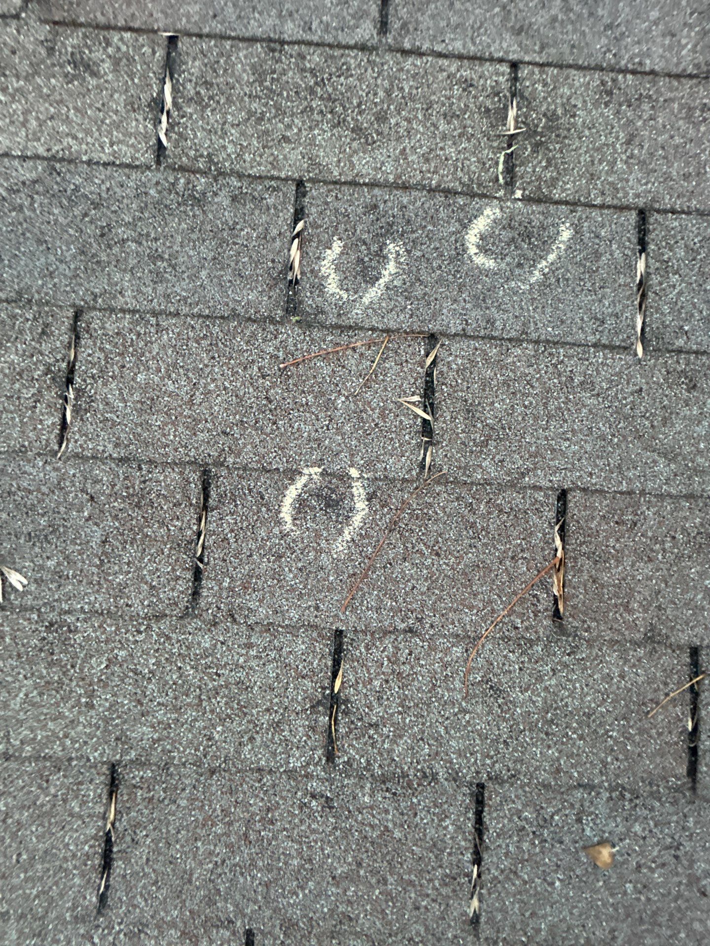 SUSANA T by Boss Hogg Roofing