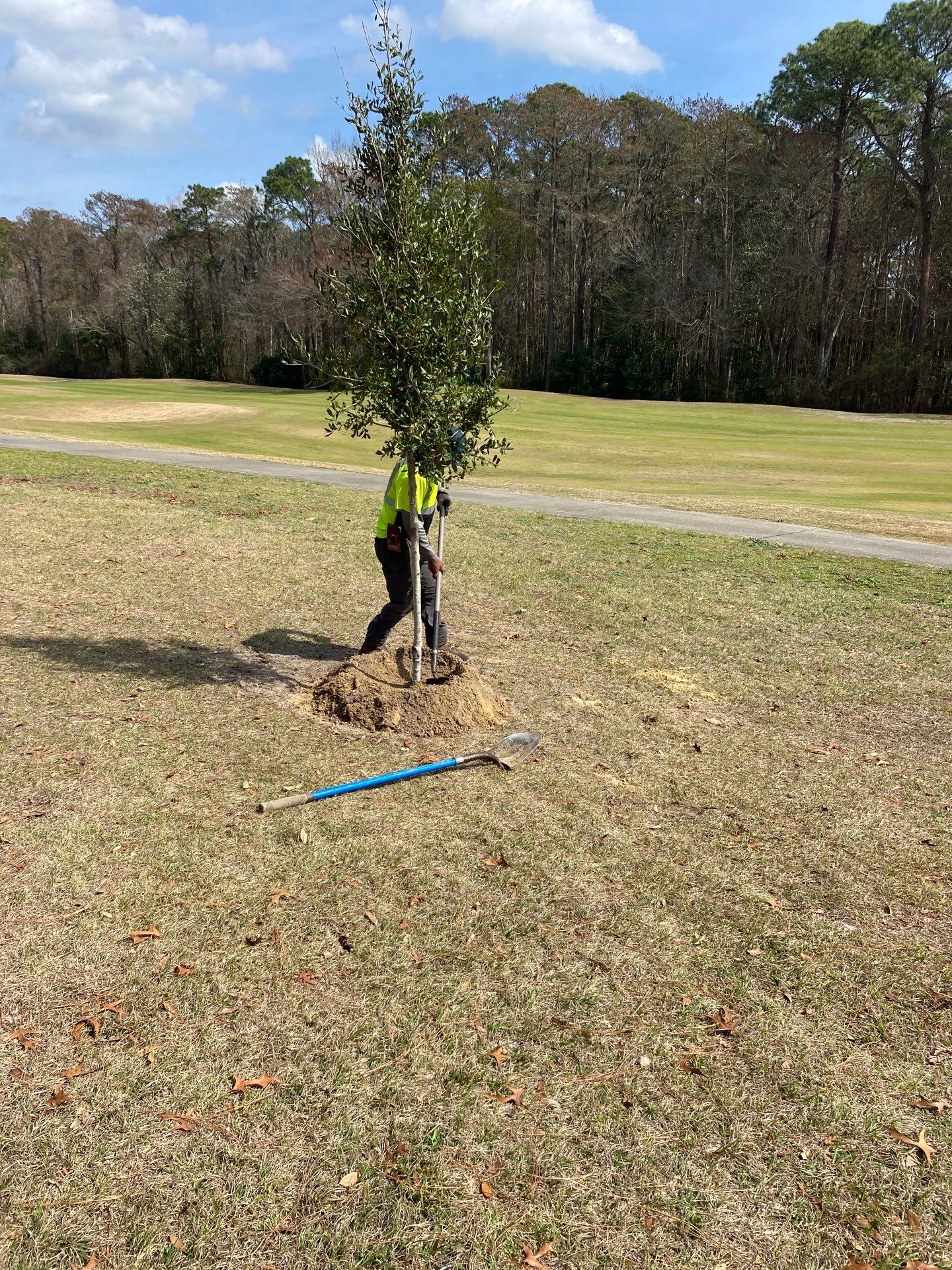 Deerwood Resident | Tree Install by ProGreen Services