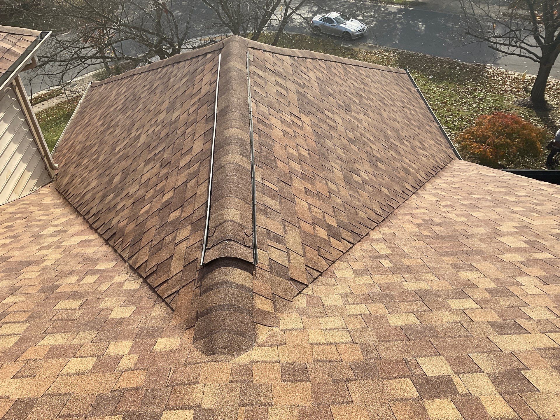 New Roof Replacement  by Alpha Design Services