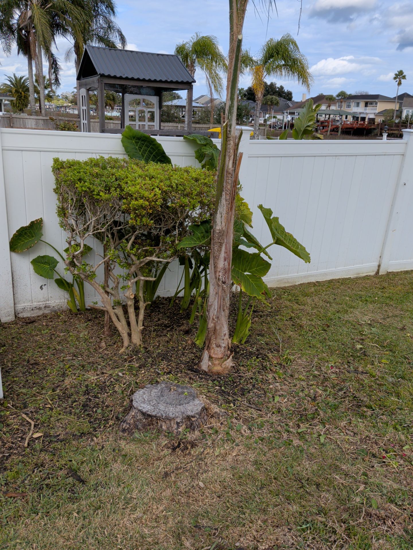Flower Bed & Property Cleanup San Pablo area — Jacksonville Beaches, FL by Harmoni Home Services