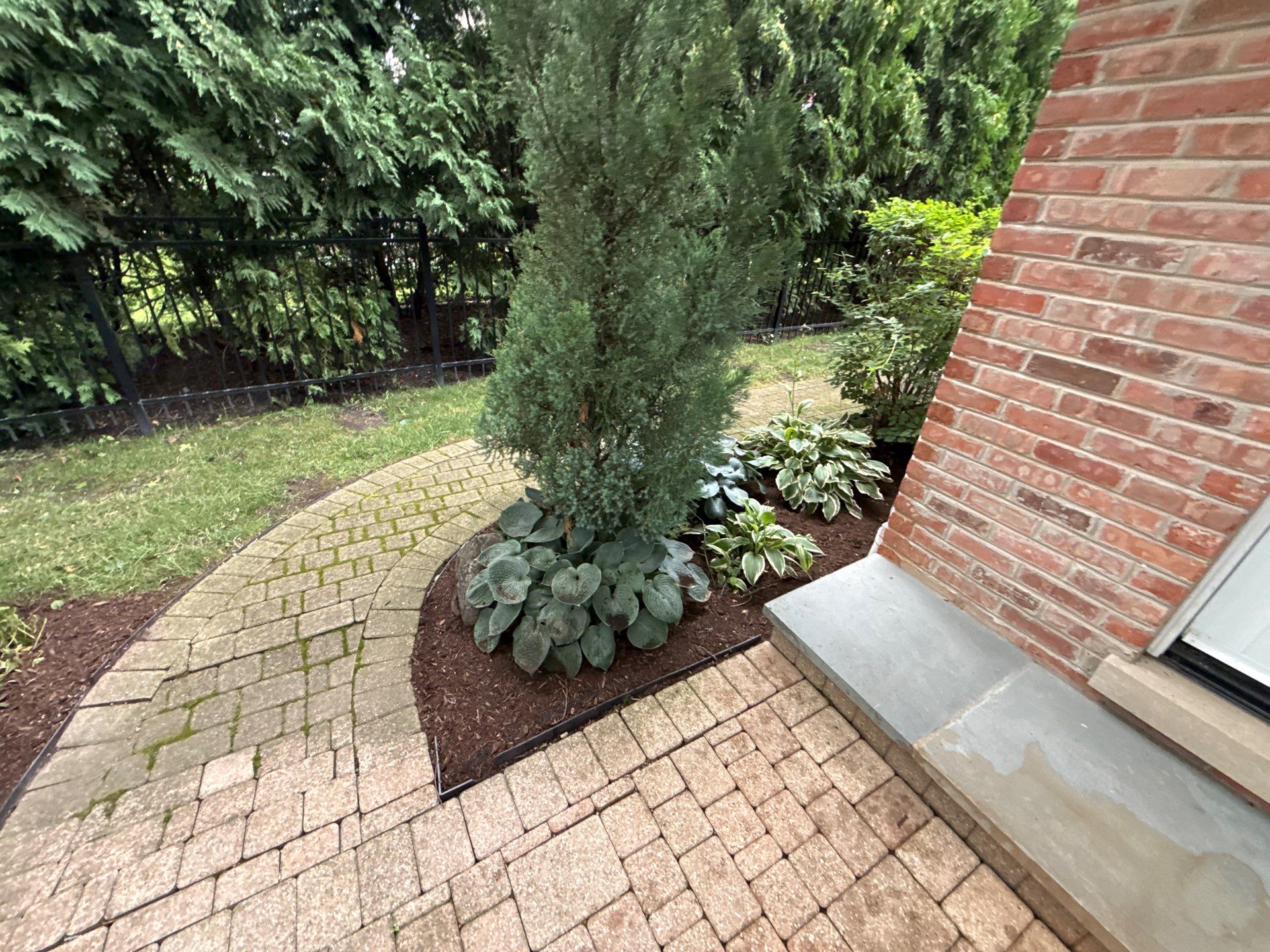Christopher B. - Glenview, IL by A&N