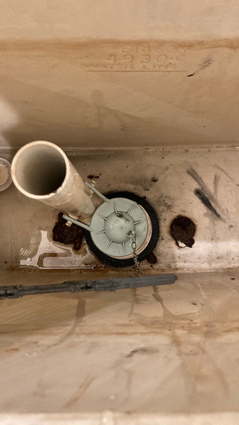 Various Plumbing & Flooring Tasks by Bayfront Home Repair