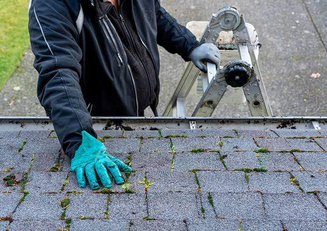 Architectural Shingle Roof Replacement and Interior Updates in Malmo by Customer Success Demo Account