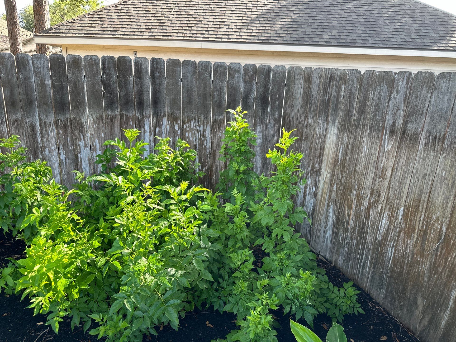 Wood fence project in Cypress by Tim's Fences
