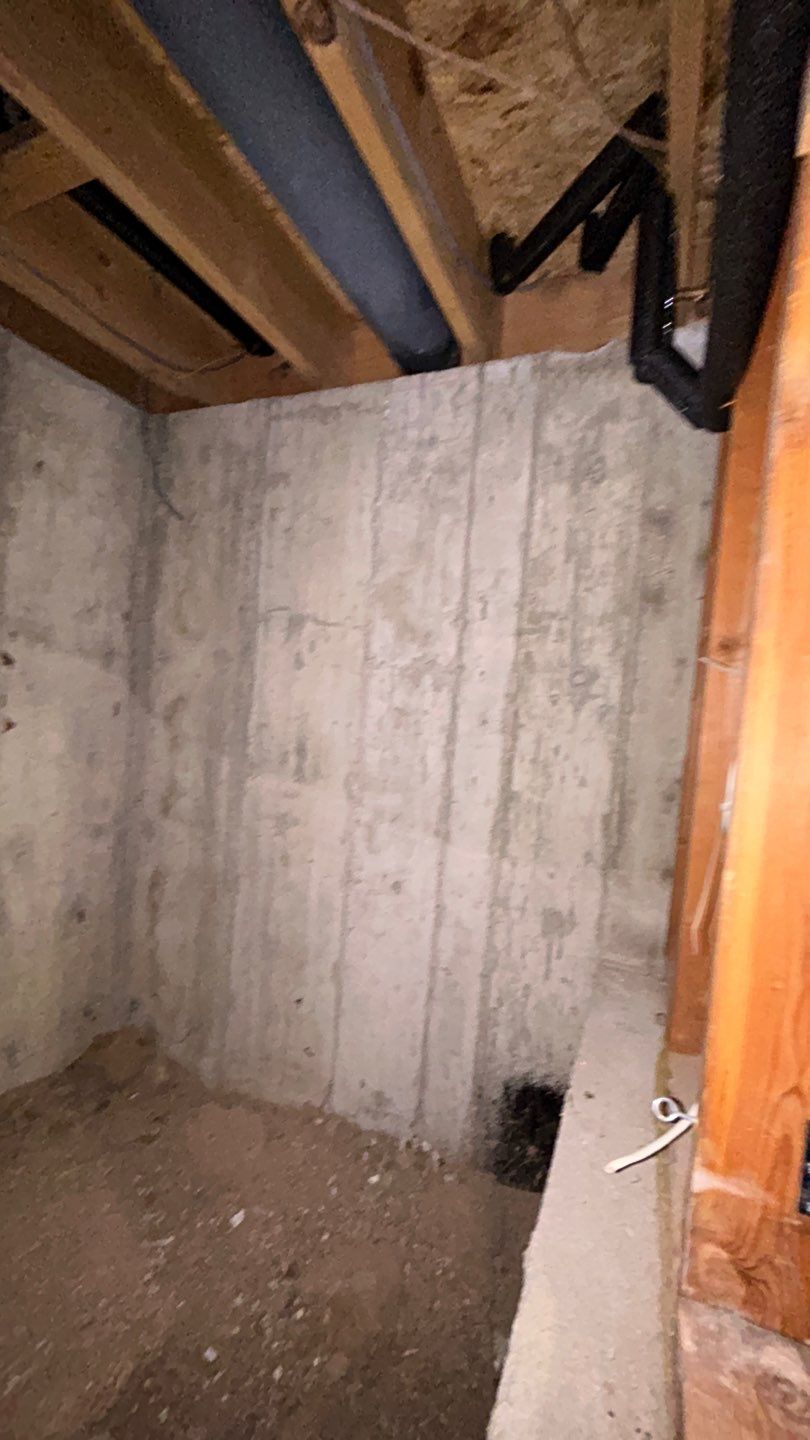 Mold Damage by Accountable Home Services