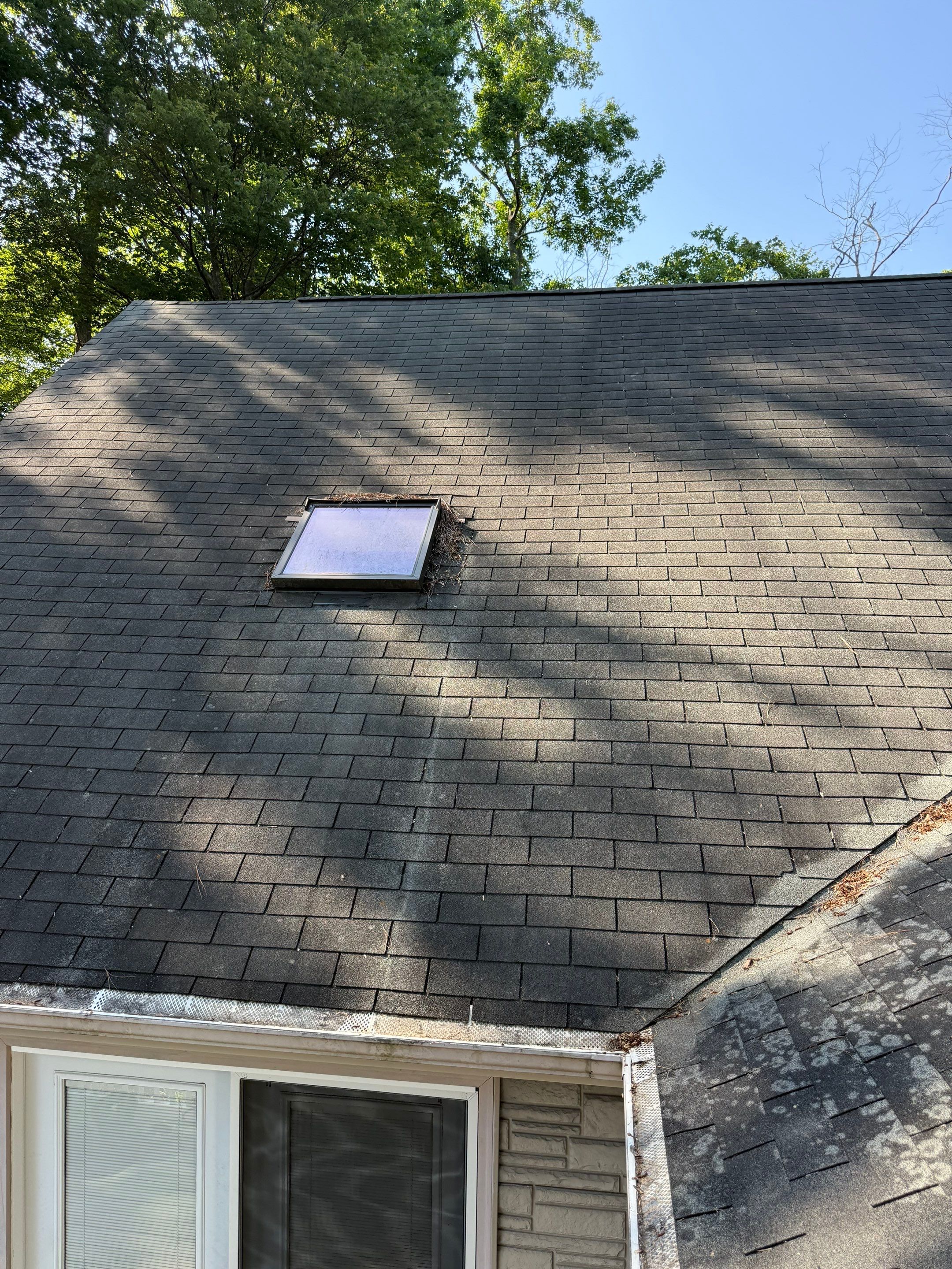 Re-Roof in Ocean View by Potomac Custom Remodeling 