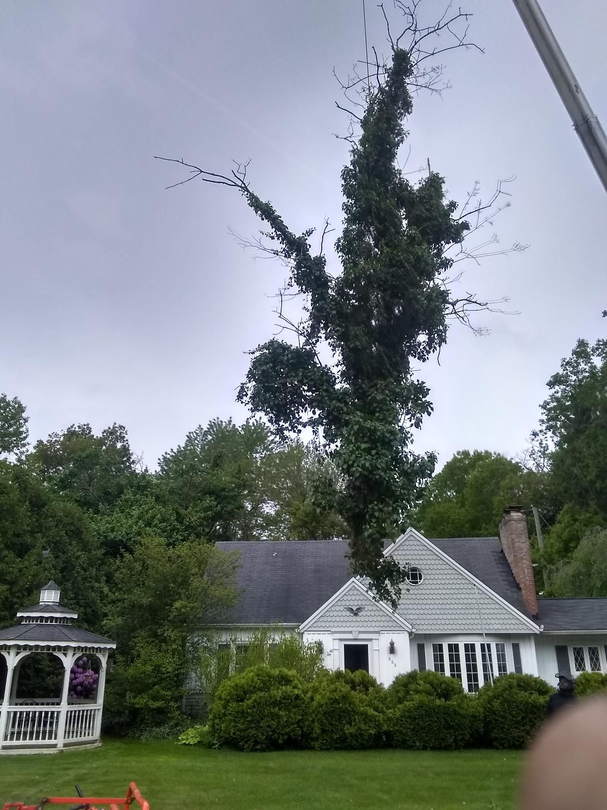 Tree Removal using Tree Removal by Mike Jones & Sons Tree Service LLC 