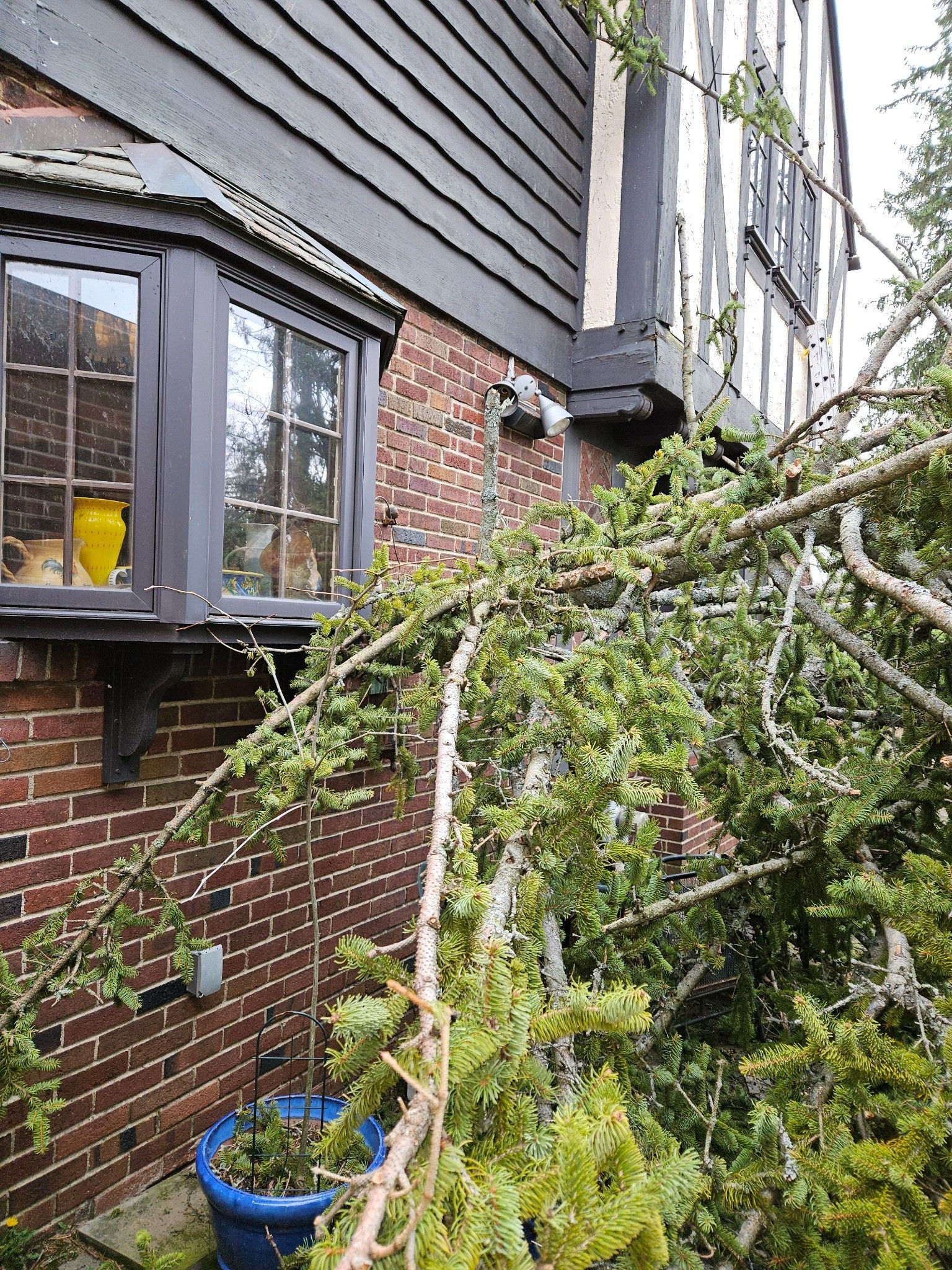 Tree Removal using Tree Removal by Mike Jones & Sons Tree Service LLC 