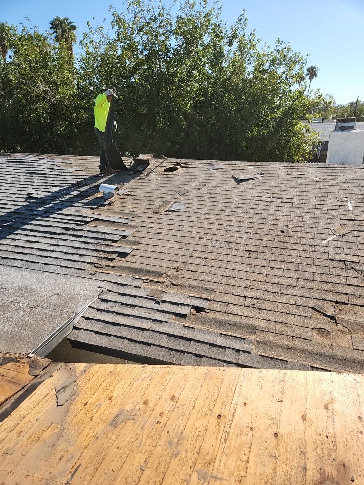 Silver Birch Shingles by Reimagine Roofing
