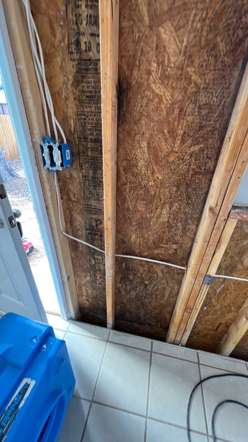 Mold Remediation  by Accountable Home Services