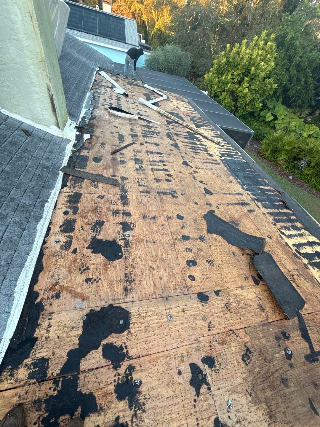 Project in Clearwater 33761 by Mitchell Roofing Company LLC