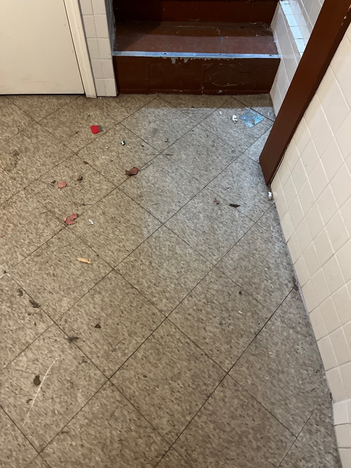 Project in Chicago by Xo Clean Services 