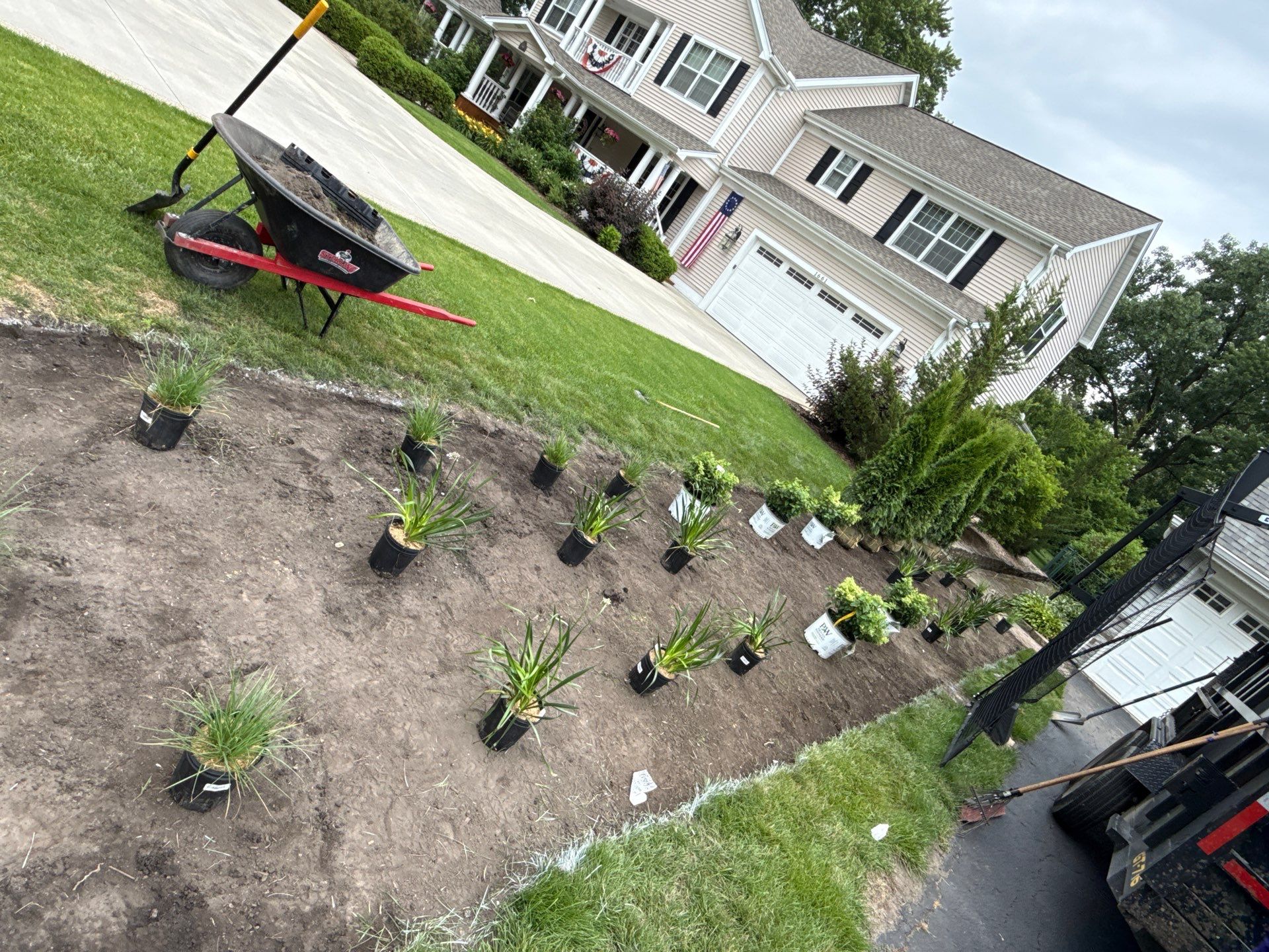 Anne P. - Arlington Heights, IL by A&N 