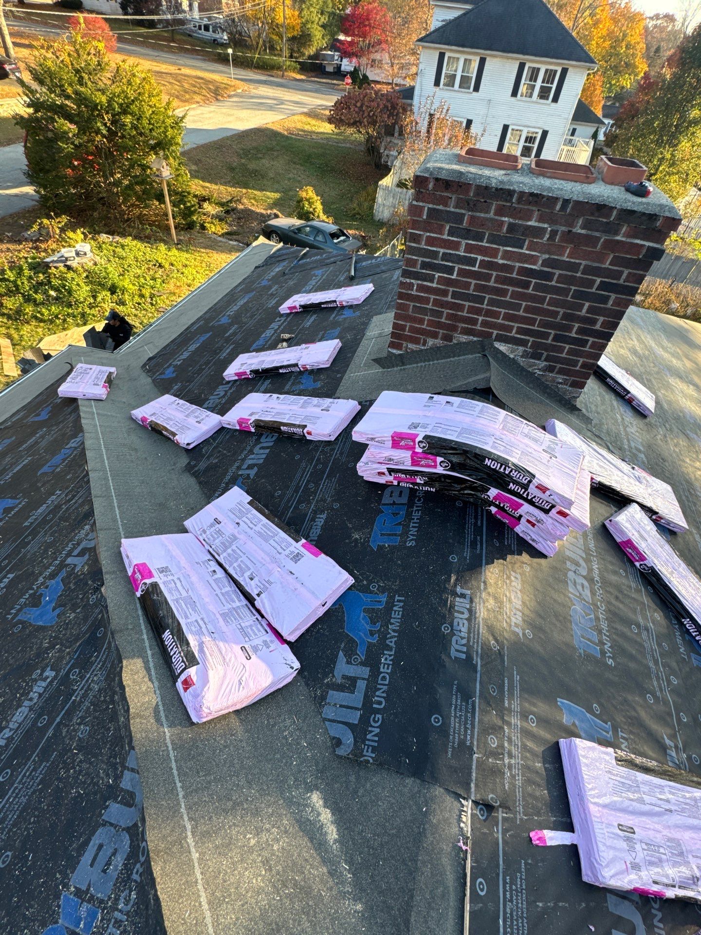 Silver Birch Shingles by Reimagine Roofing
