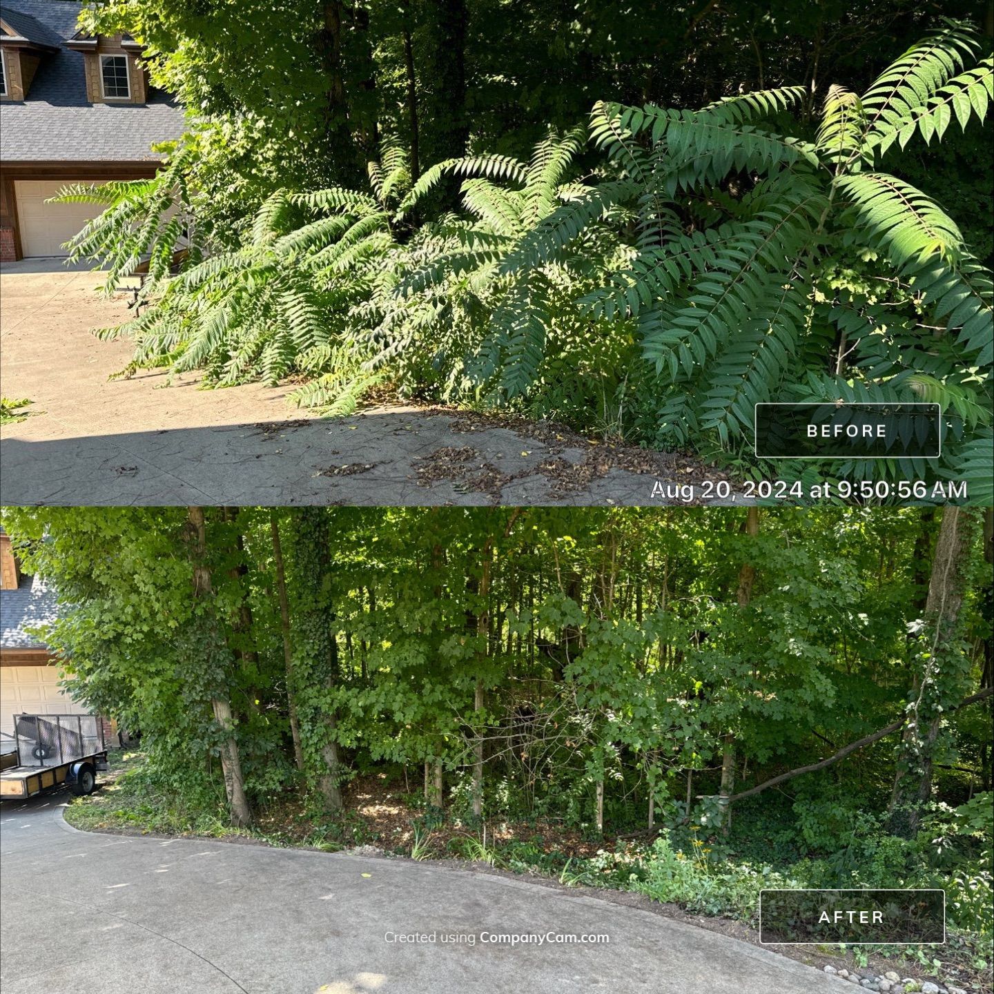 Project in Fort Wayne by Carrs lawn and landscape