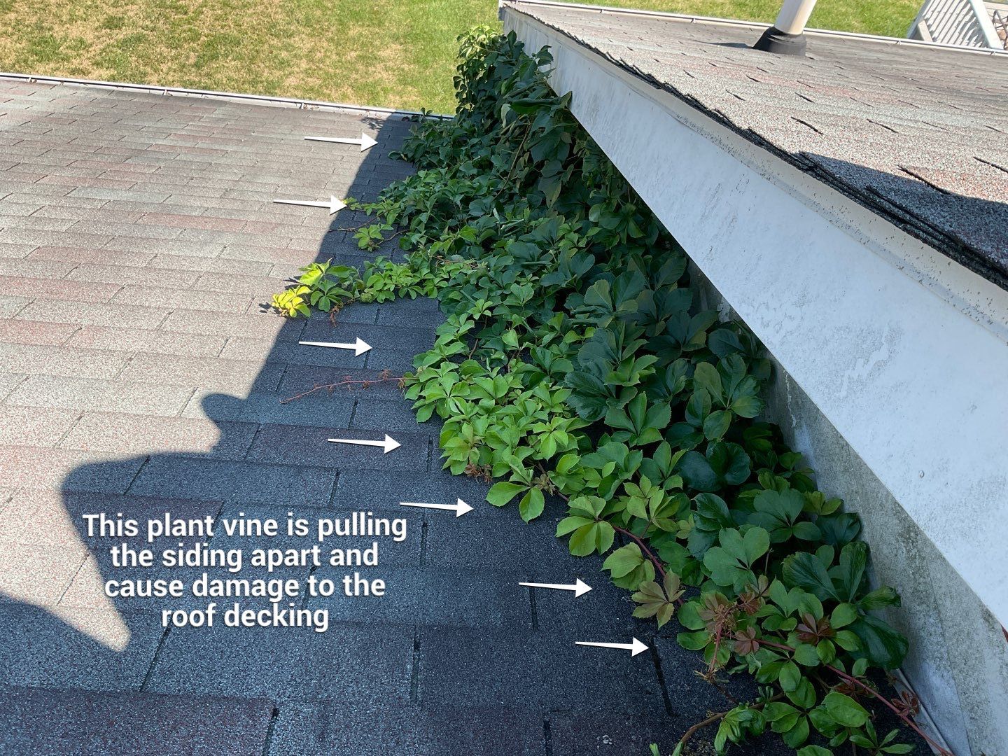 Residential Roofing Installation by Alpha Design Services