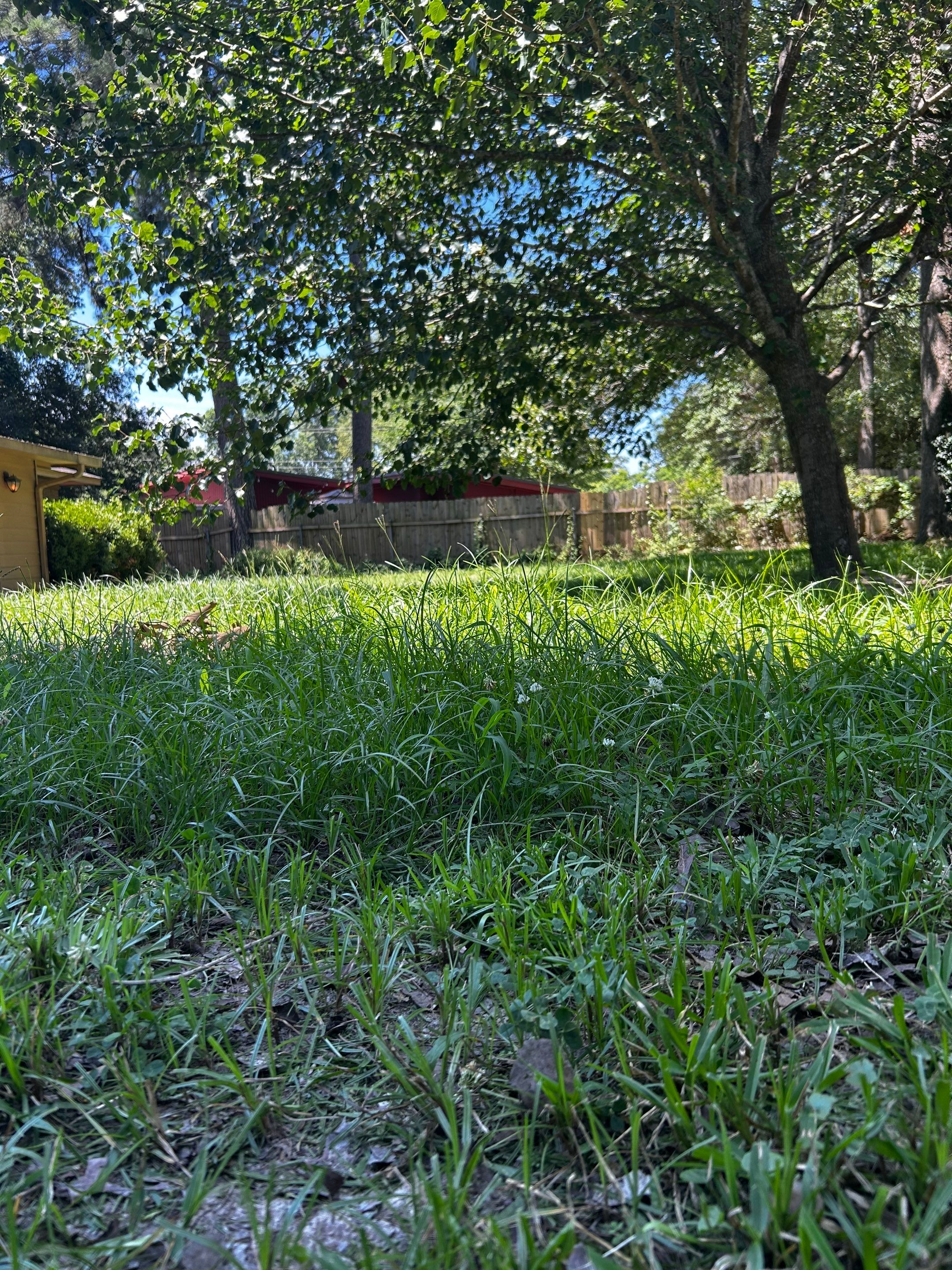 Bi Weekly Lawn Mowing and Edging by College Bros Outdoor services