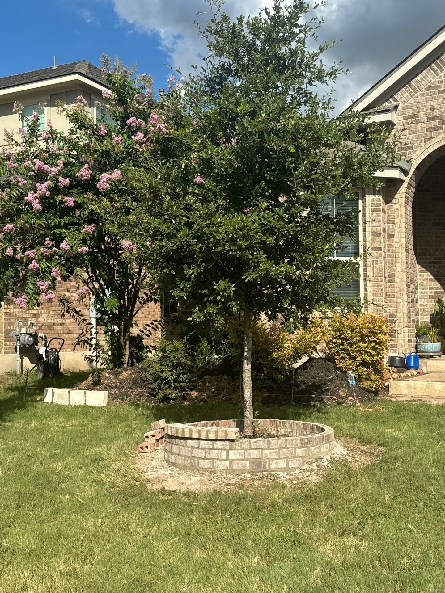Wortham Oaks - San Antonio, TX by Hole In One Lawns, LLC